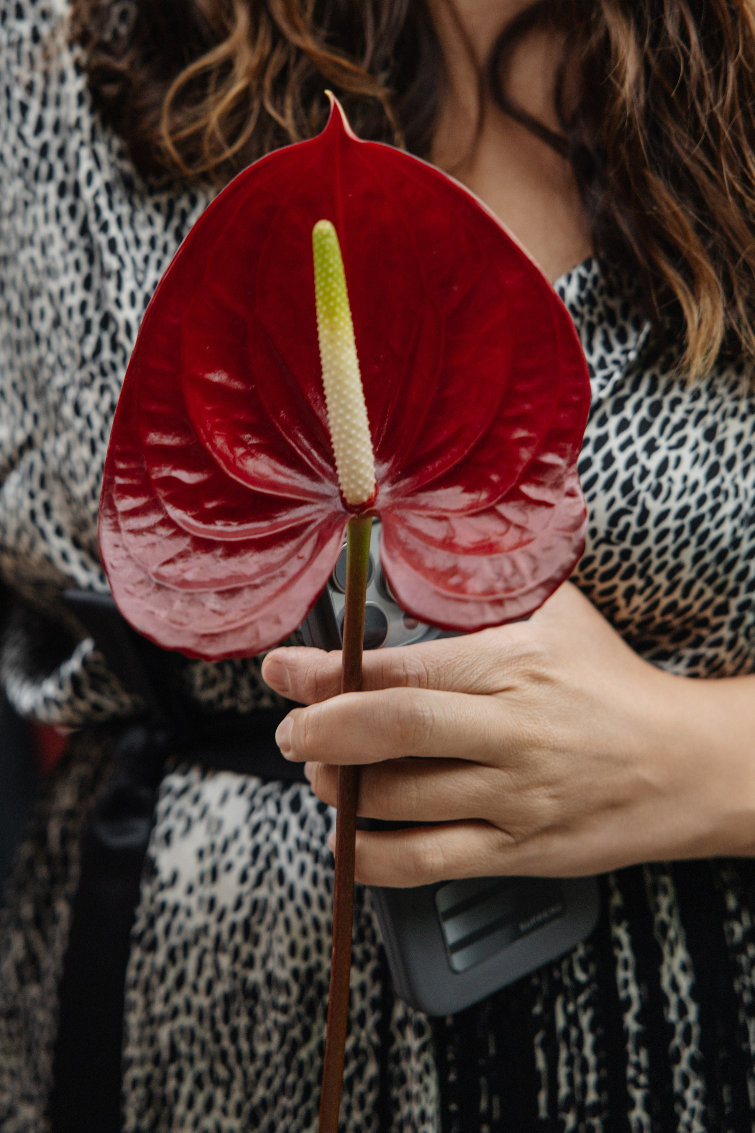 ГРЕНАДА. Фотограф в Красноярске