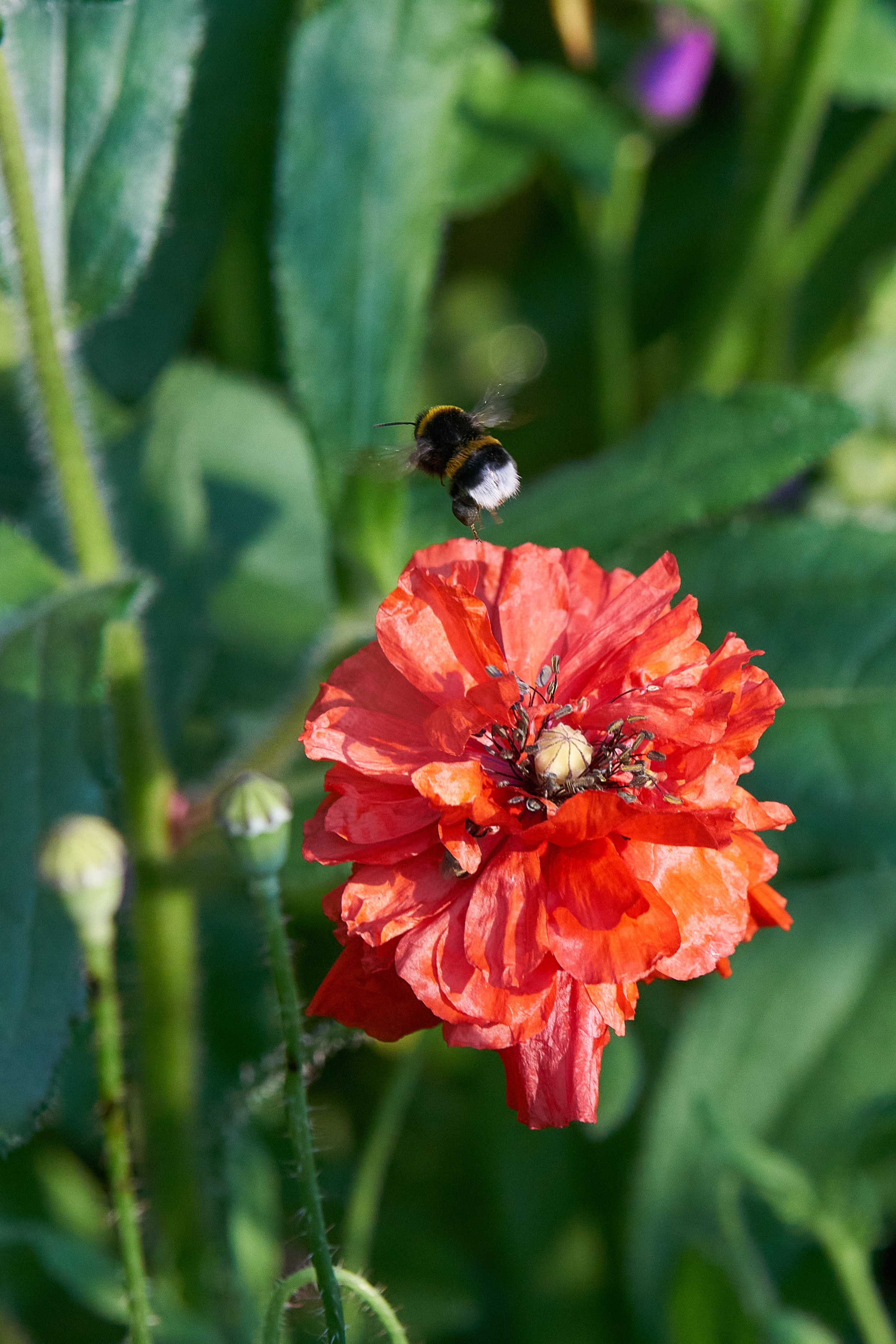 Наша мать — природа. Фотограф Владимир Артамонов