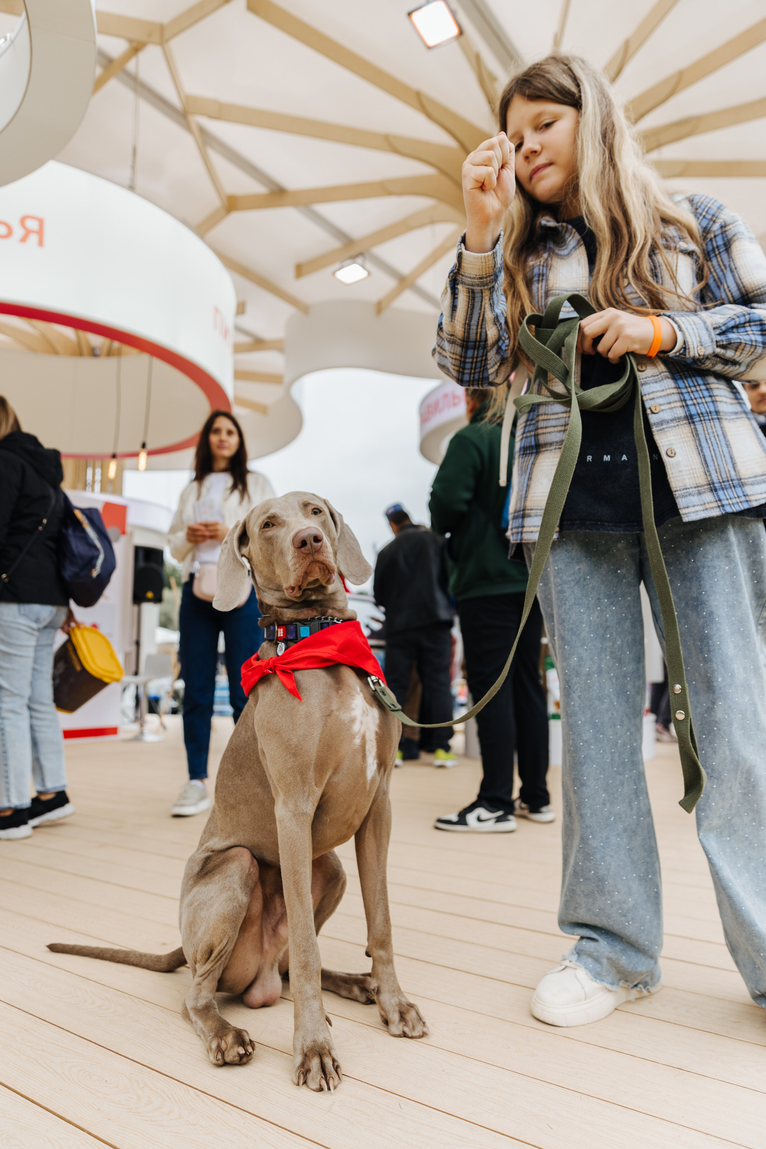 Хвостатый репортаж. Аксана Лисовская фотограф в Москве. Фотографии с характером