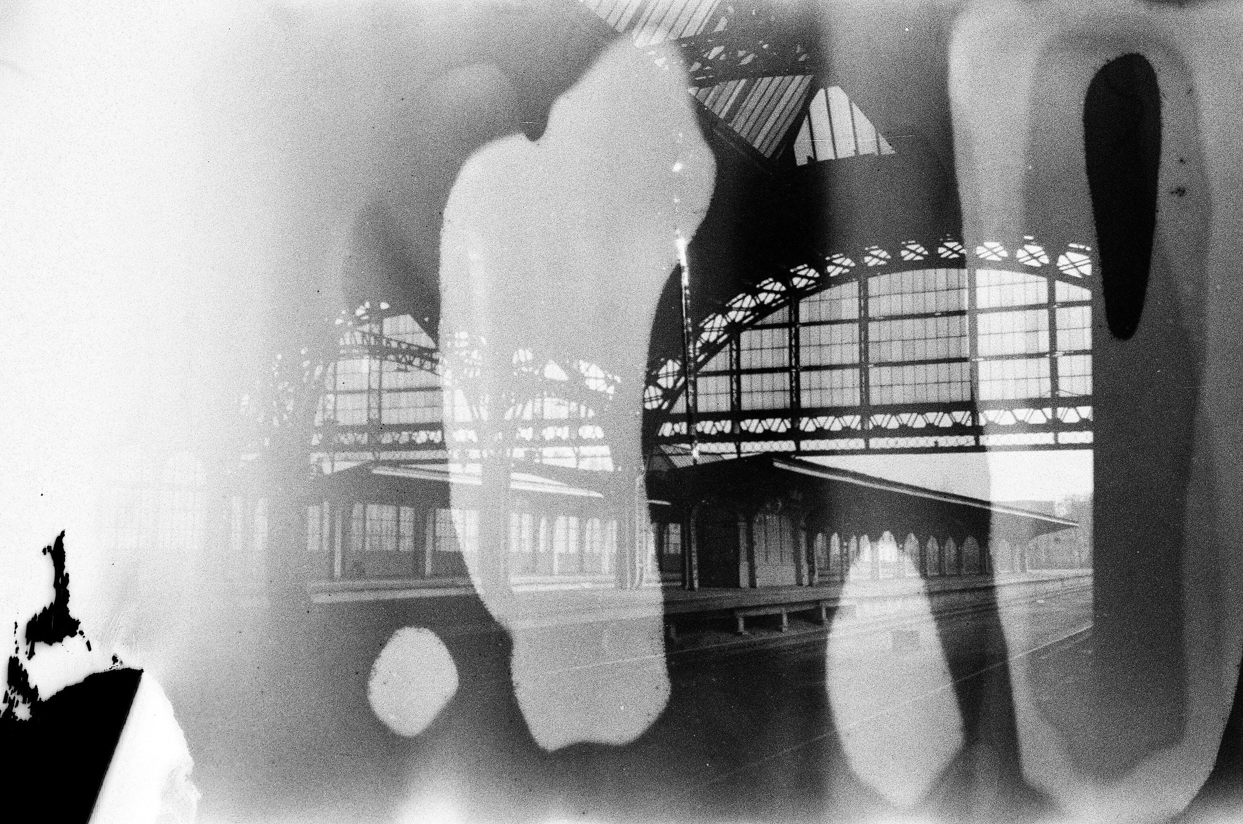 Фотокарточки. Хурма — Назаренко Олесь
