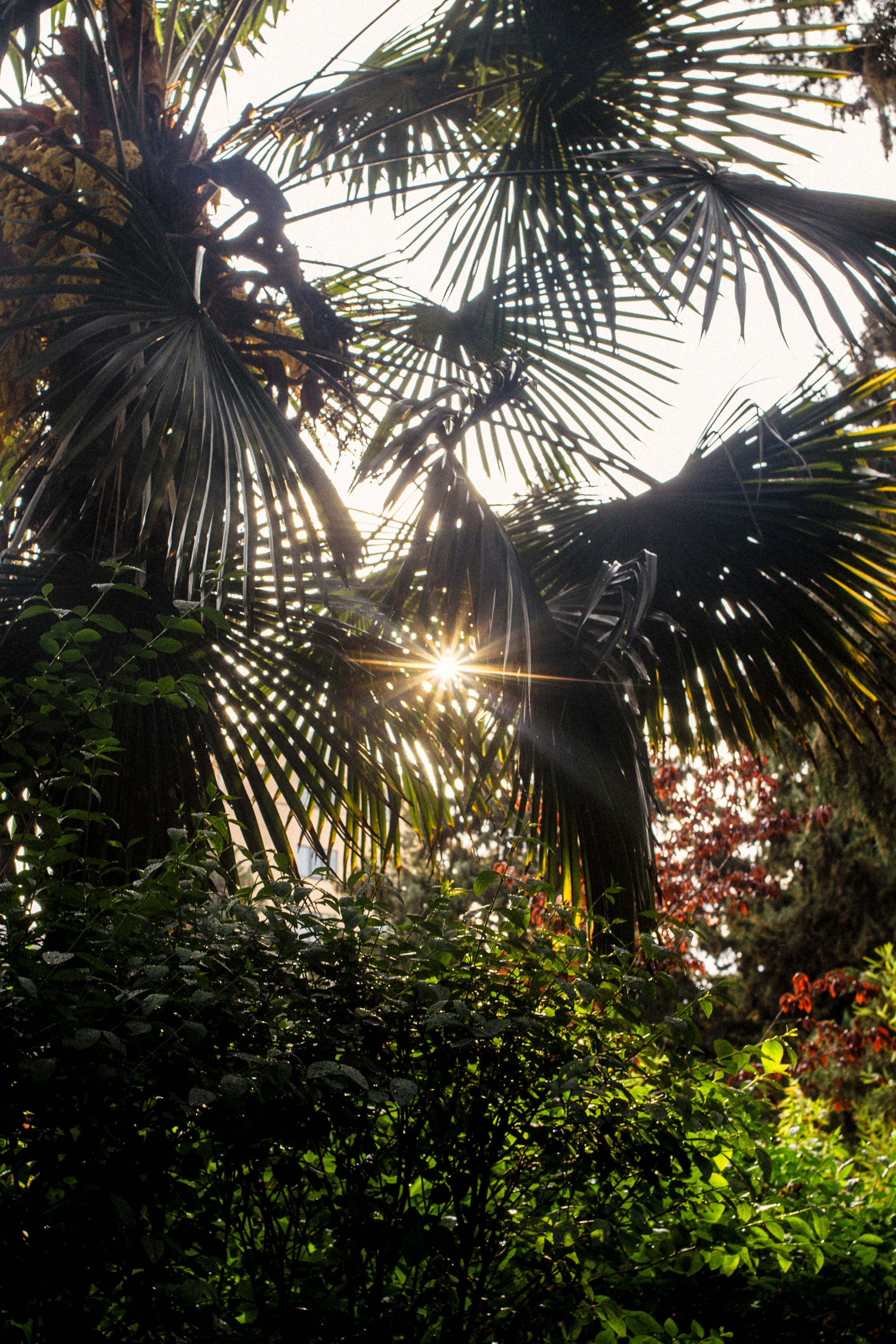 Свадебная серия | Константин Жуйков. Фотограф Константин Жуйков