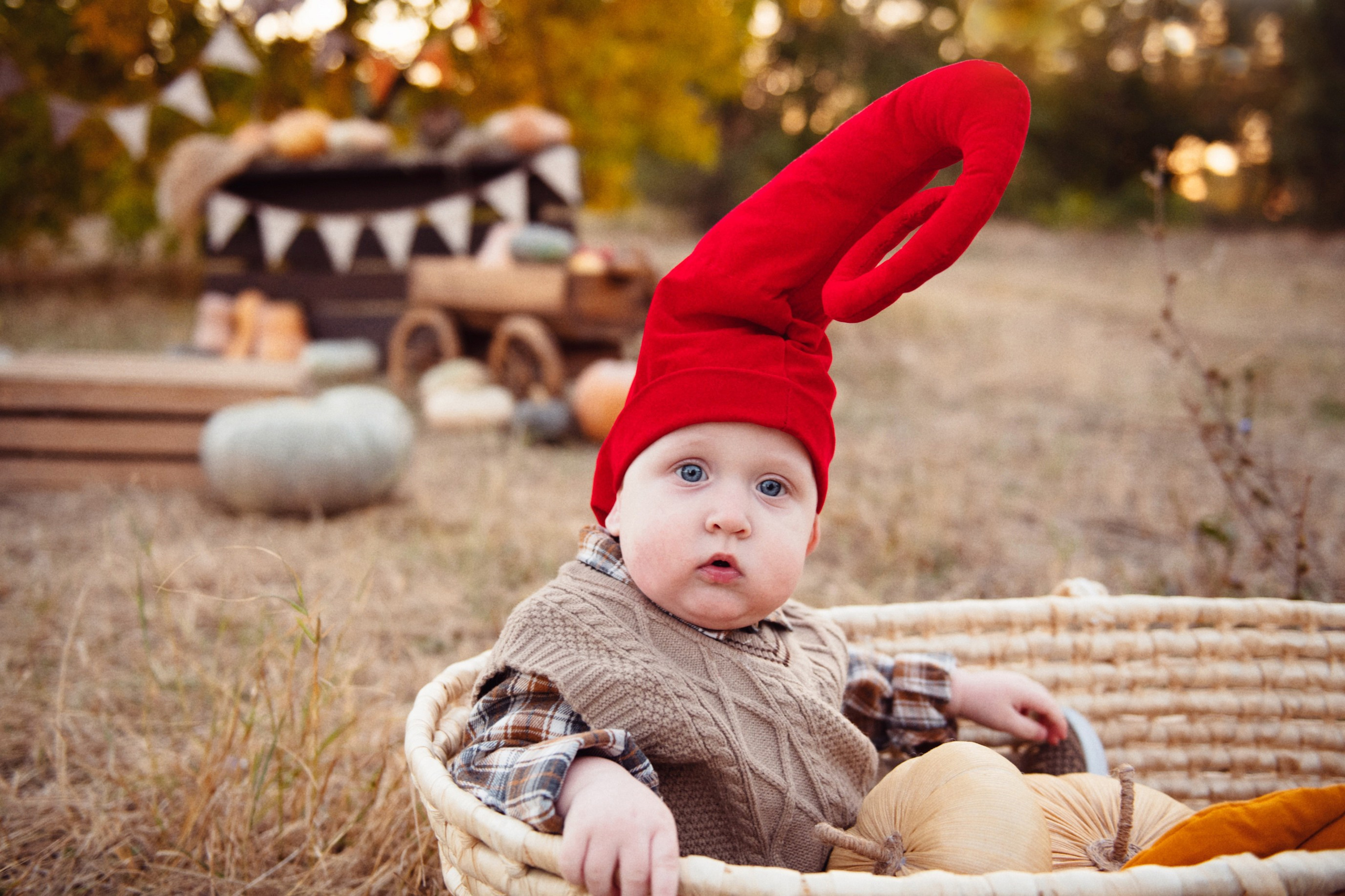 Тыковки. Детский и семейный фотограф в Армавире Даша Зубкова