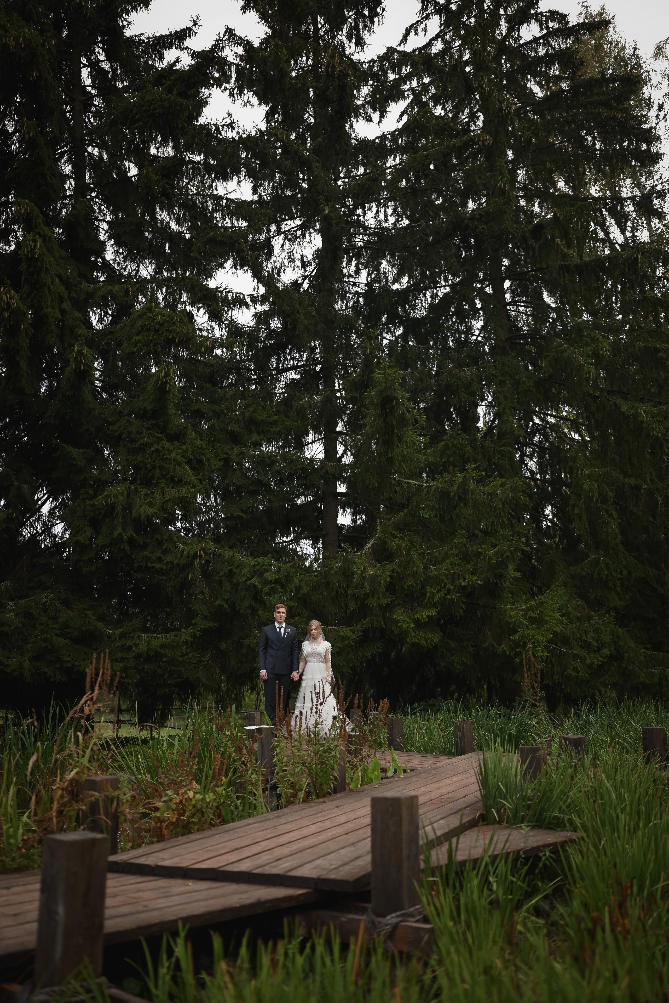 Никита и Дарья. Свадебный и портретный фотограф