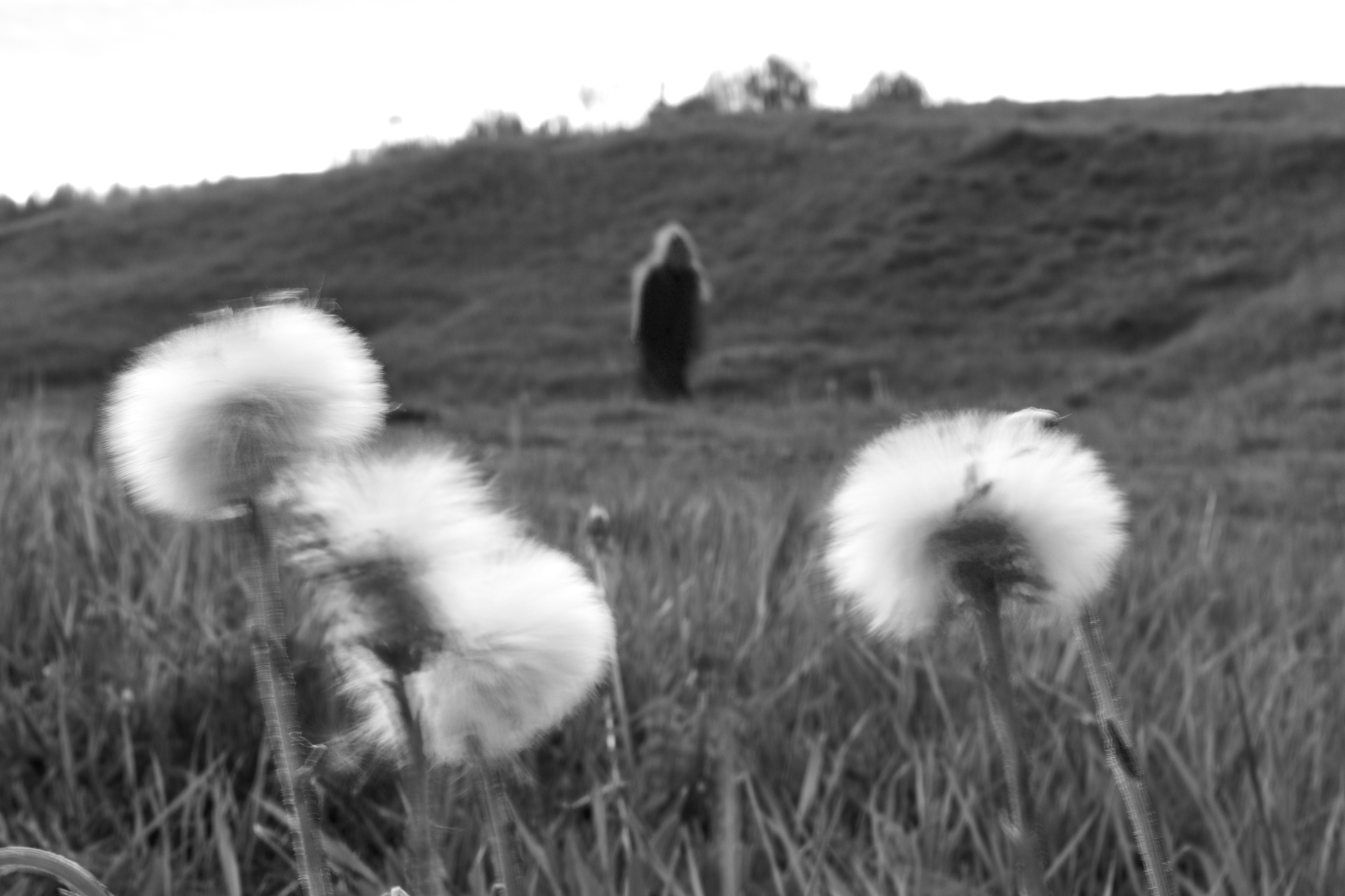 Фотограф  тюмень Александр Шалагин