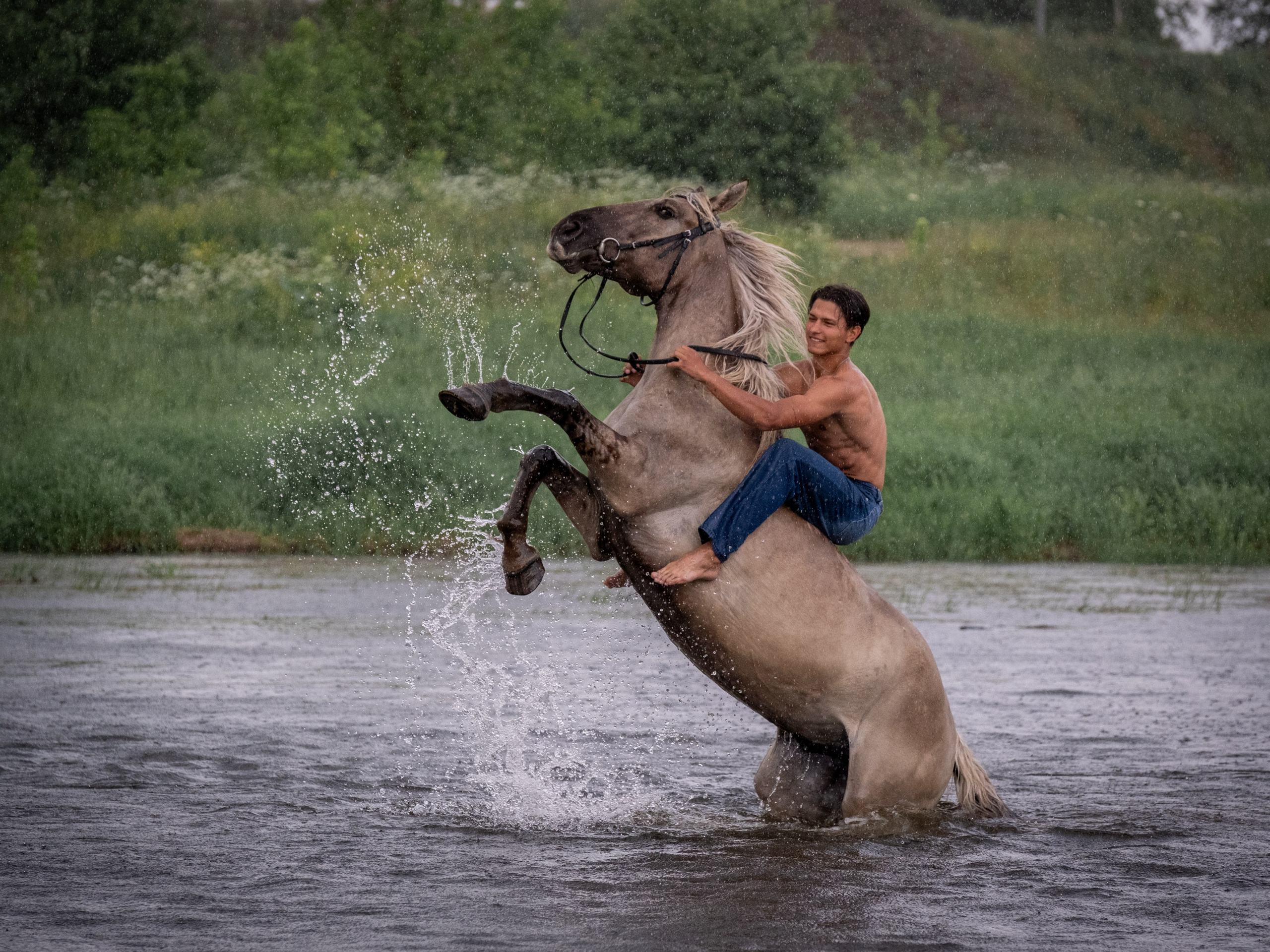 Люди и лошади!. Зоофотограф, фотограф животных в Москве и области Дина Дамоцева