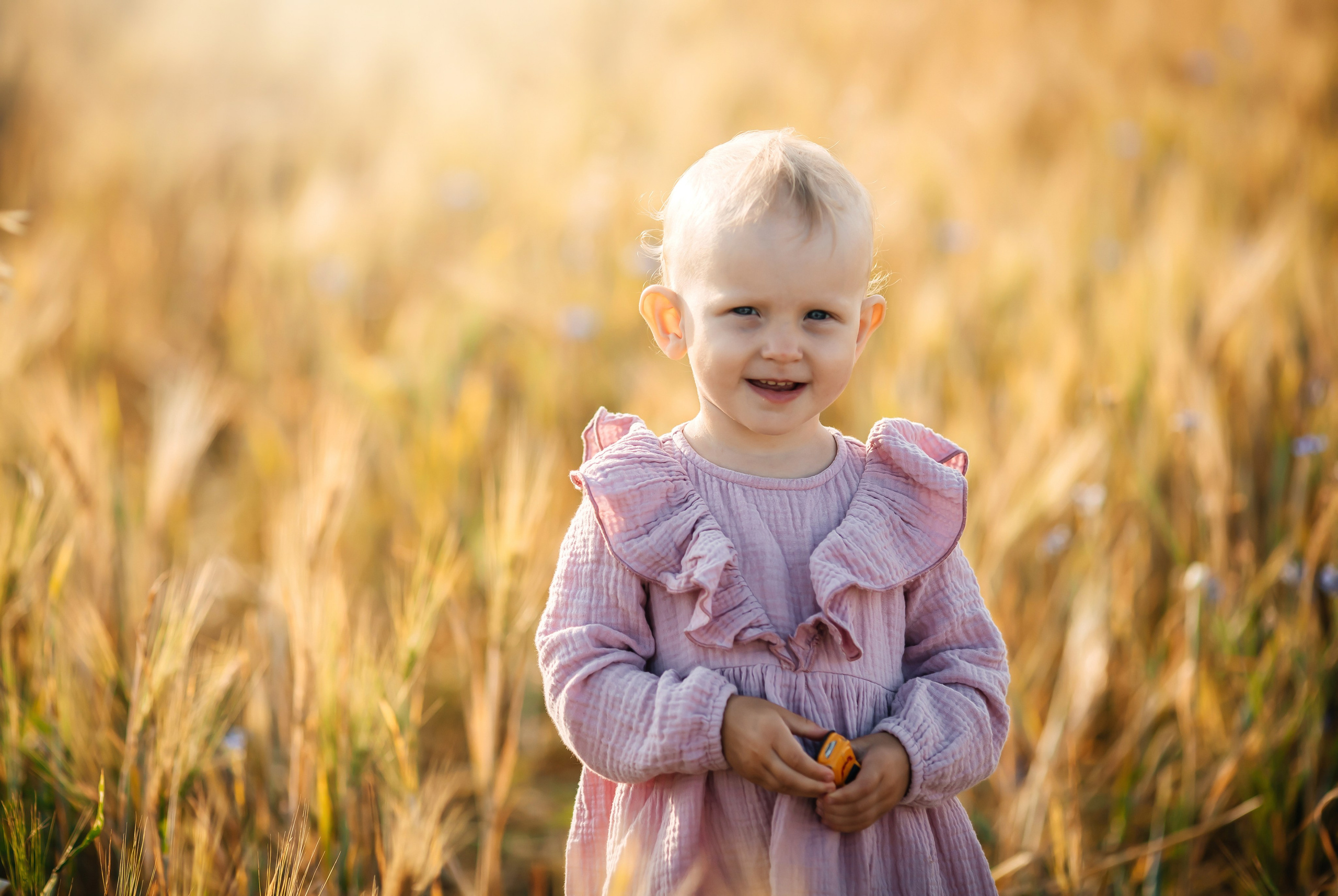 Семья в пшенице. Olga.filippova.photo