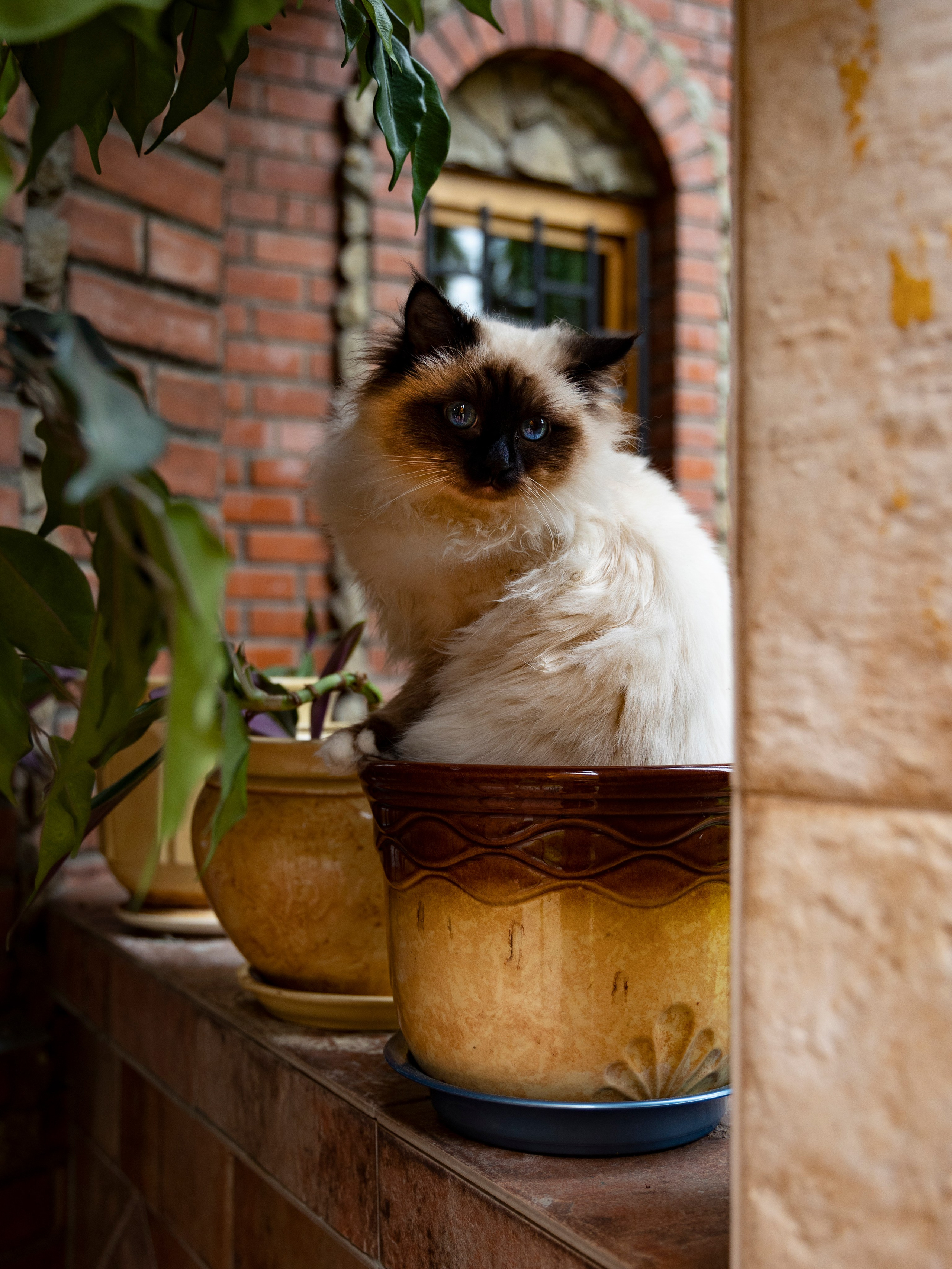 Фотограф Татьяна Марсуверских г. Жуковский, Москва и Мо. Репортажные съёмки, фотосессии. Детский, семейный фотограф. Фотограф для маркетплейсов, фотоуслуги в Жуковском Татьяна Марсуверских
