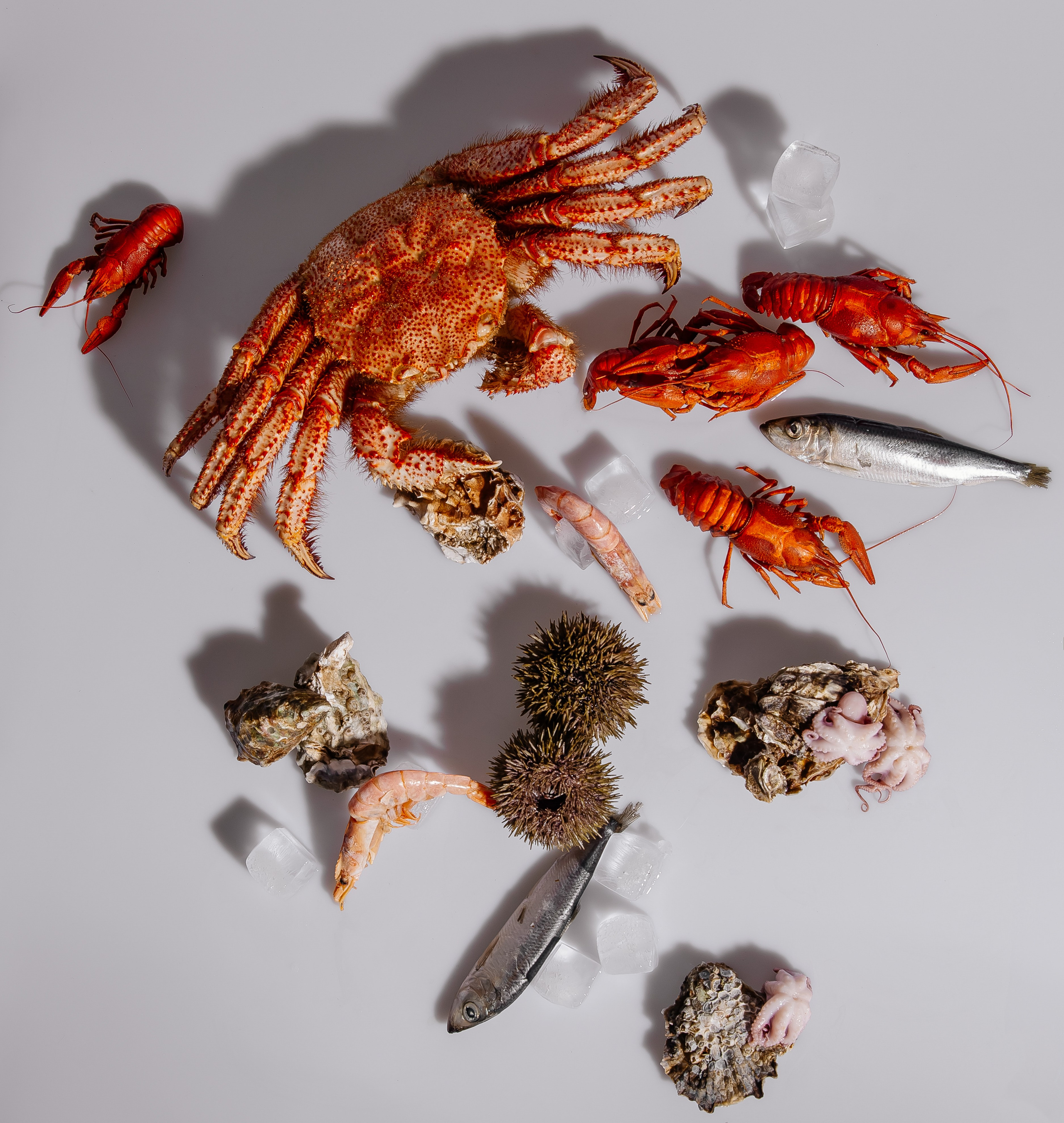 Splash.sea. Профессиональный фотограф Инесса Новикова в Москве