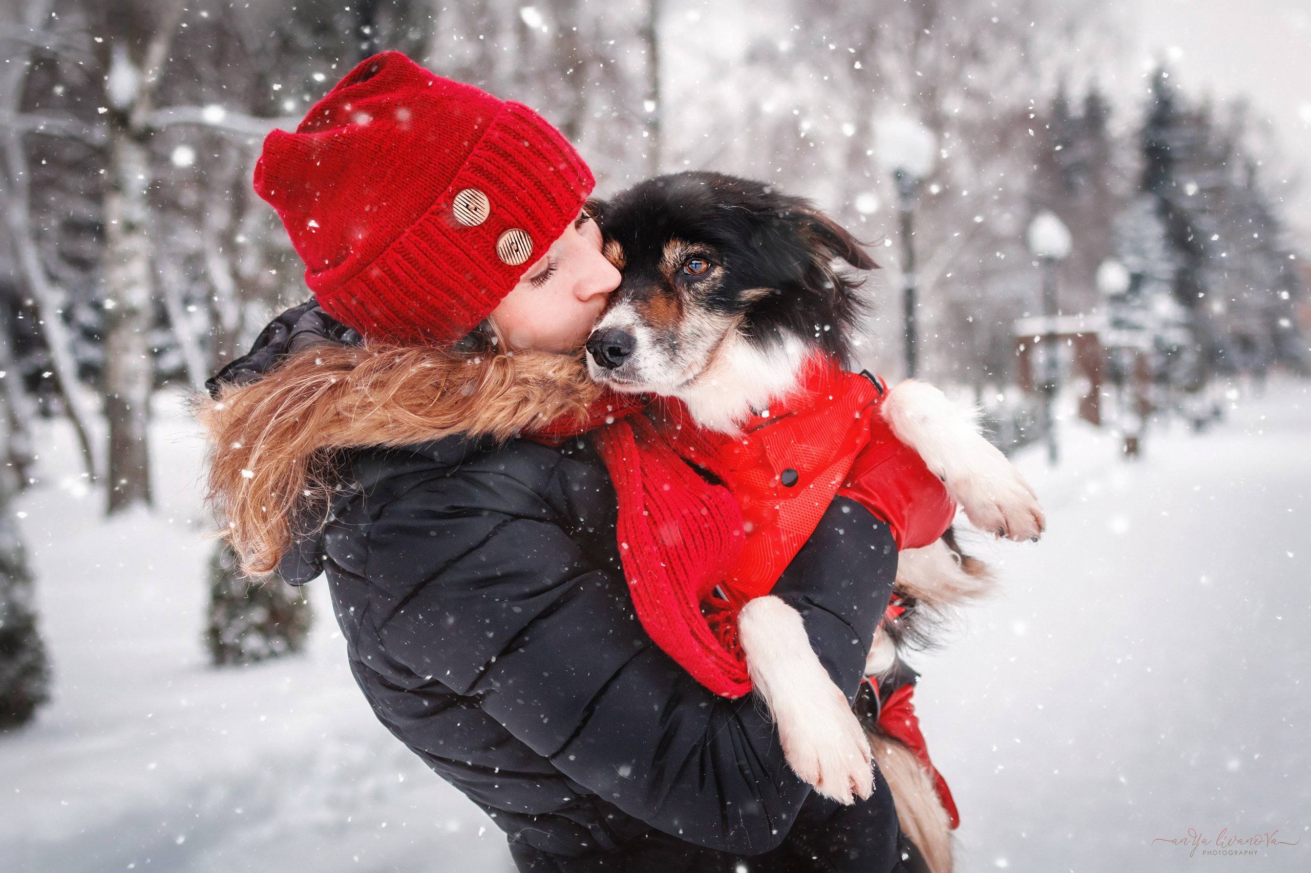 Рокки. Фотограф анималист Аня Ливанова | Рыбинск