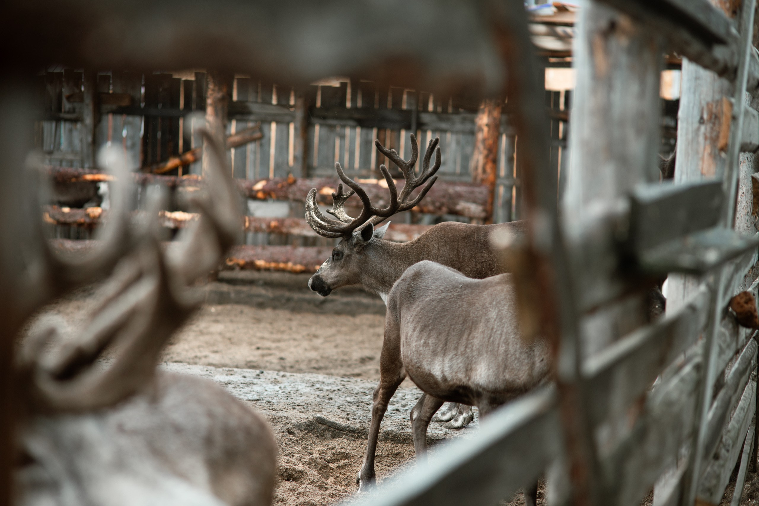 Мурманск. Фотограф Сергей Красильников