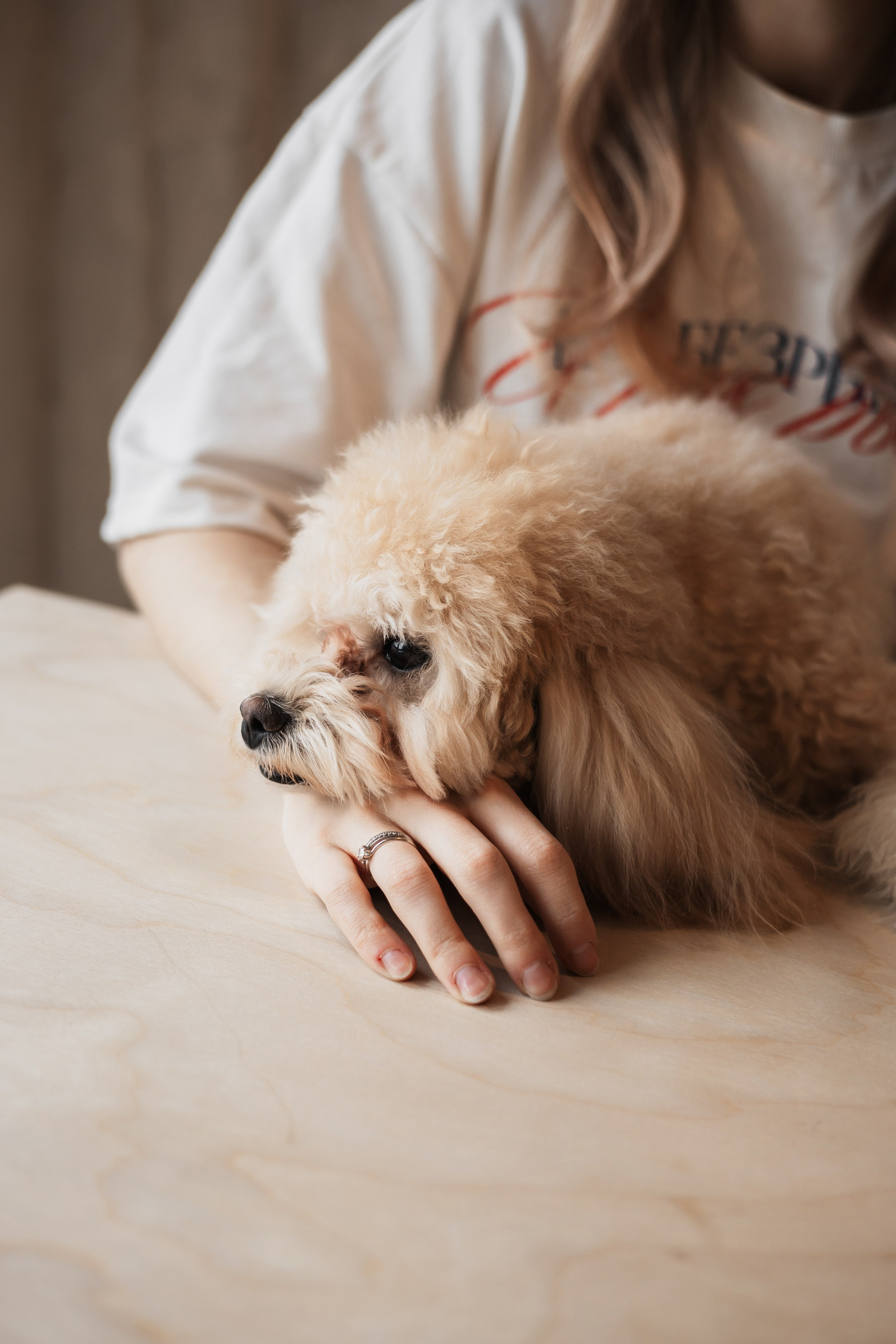 Алина — прогулка