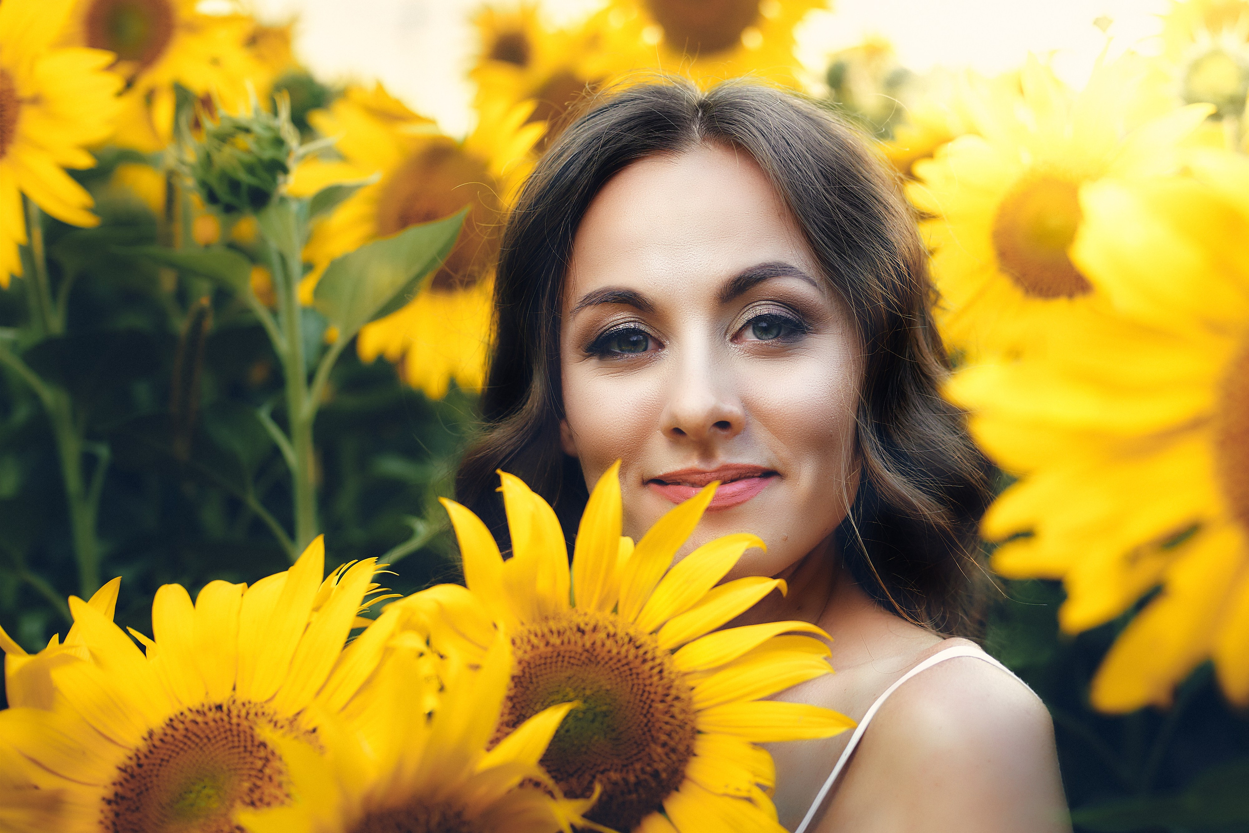 Ольга. Подсолнухи. Петр Ступень. Свадебное, семейное фото и видео. Москва. Краснодар