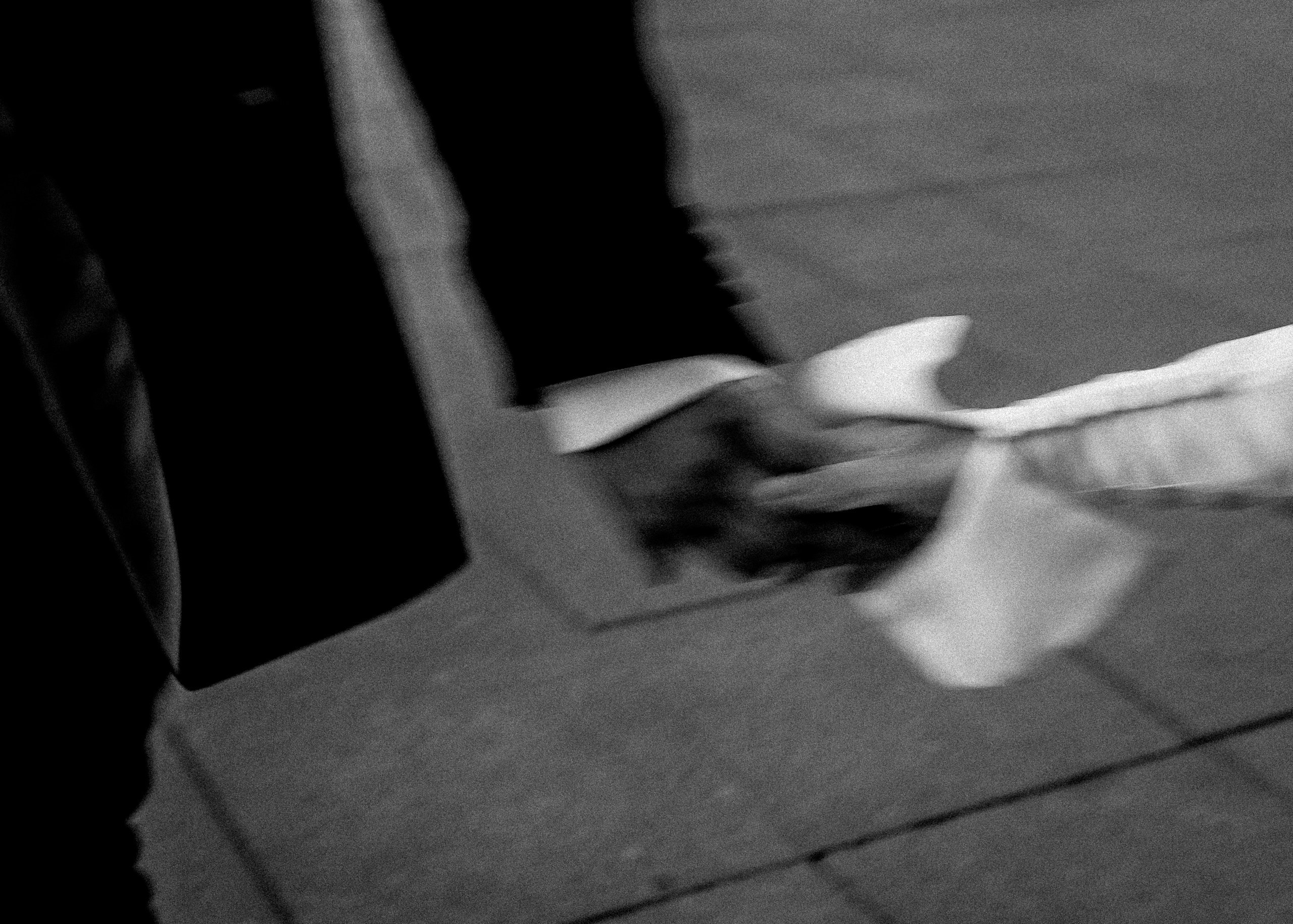 Unique wedding photography service based in New Zealand, capturing your special moments with a fresh, creative eye