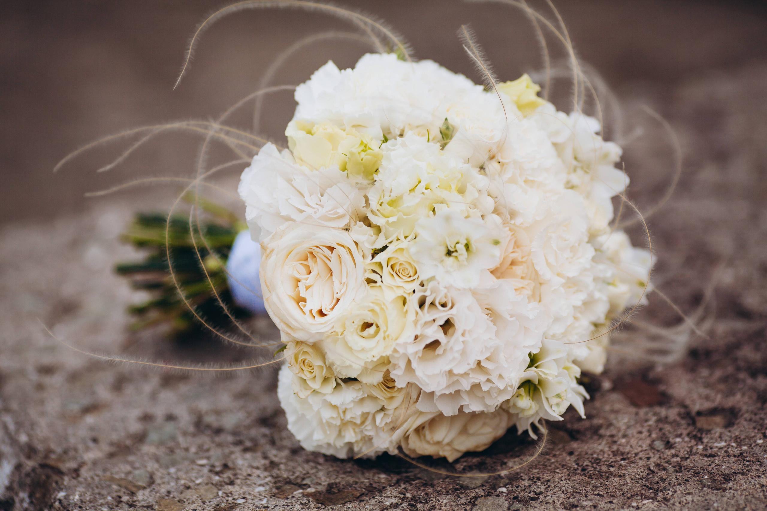 Профессиональный свадебный фотограф и видеограф Симферополь | Крым. Свадебный фотограф и видеограф Владислав и Анастасия Макриди