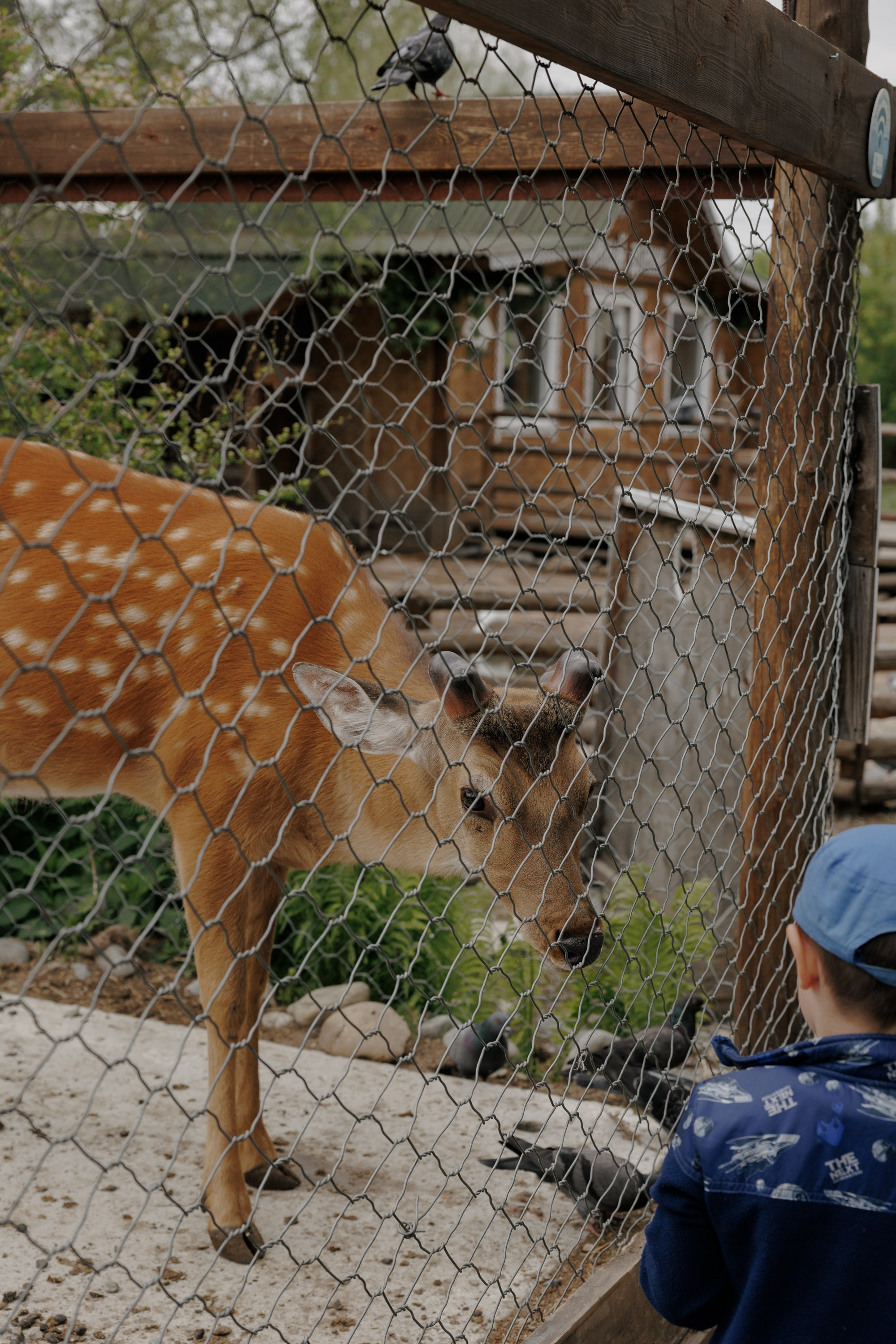 Алексей и Алина (полный день). Свадебный фотограф