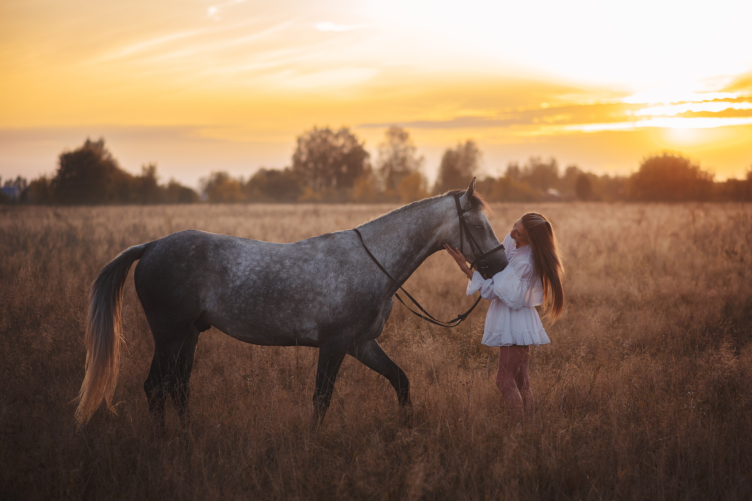 Юля и Дакар — 12.09.2024. Фотограф — Анималист | Анна Абрамова