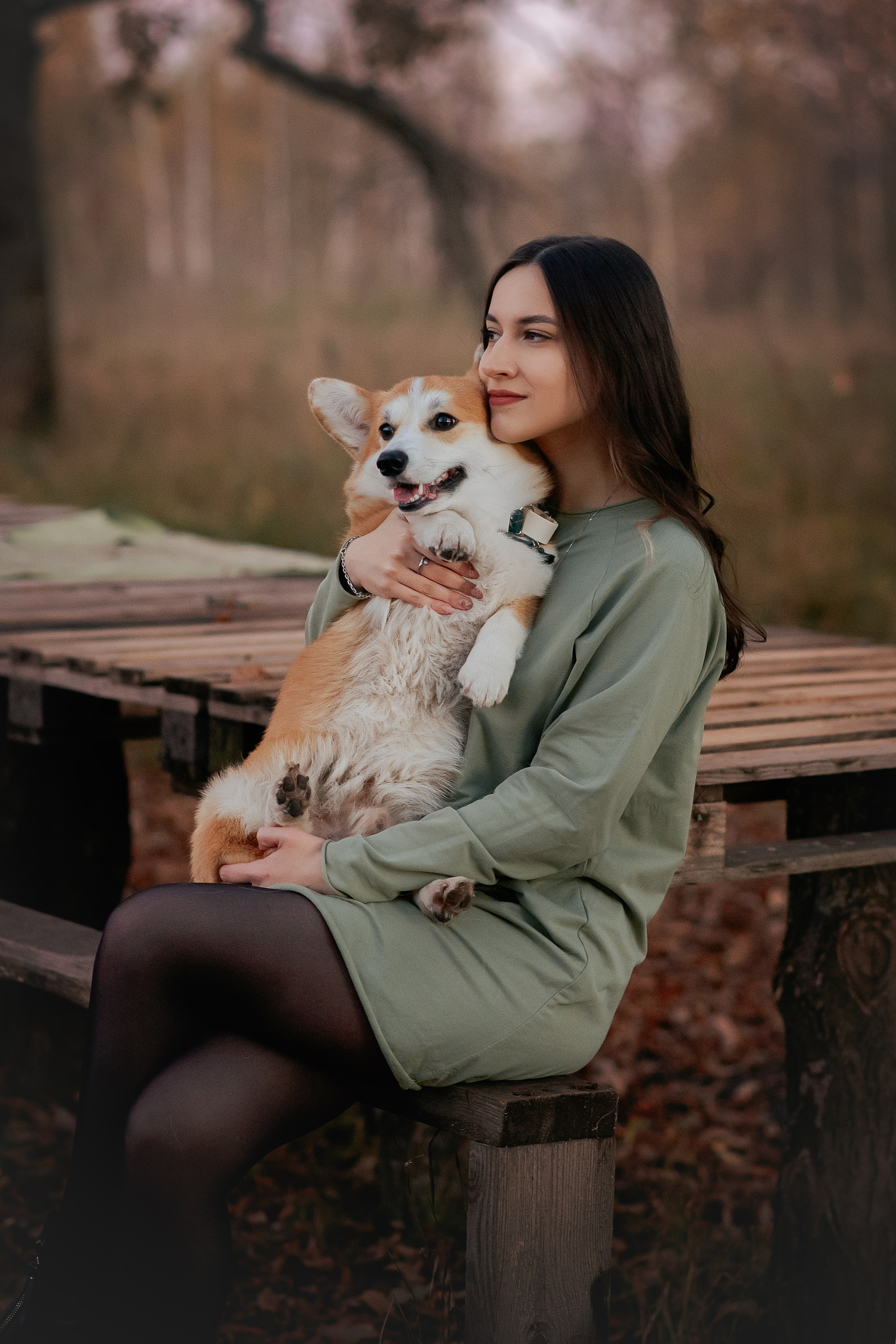 Максим, Надя, Рой и Шелби — 13.10.2024. Фотограф — Анималист | Анна Абрамова