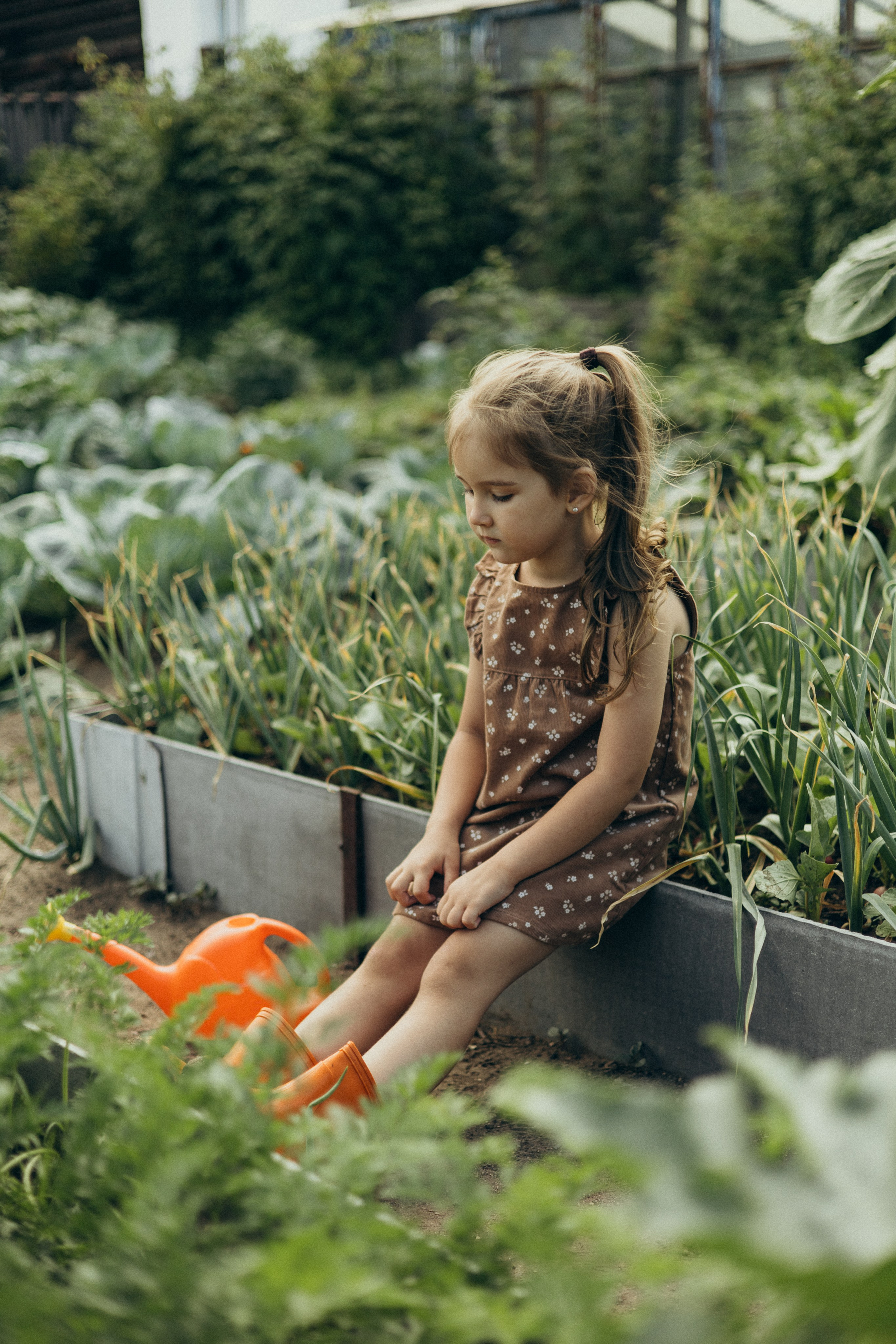 Хорошо в деревне летом…♡. Фотограф в г. Чита