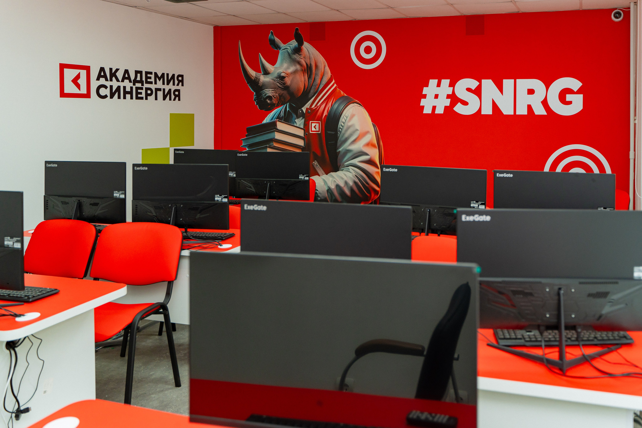 Синергия. Фотограф Мария Зайчик