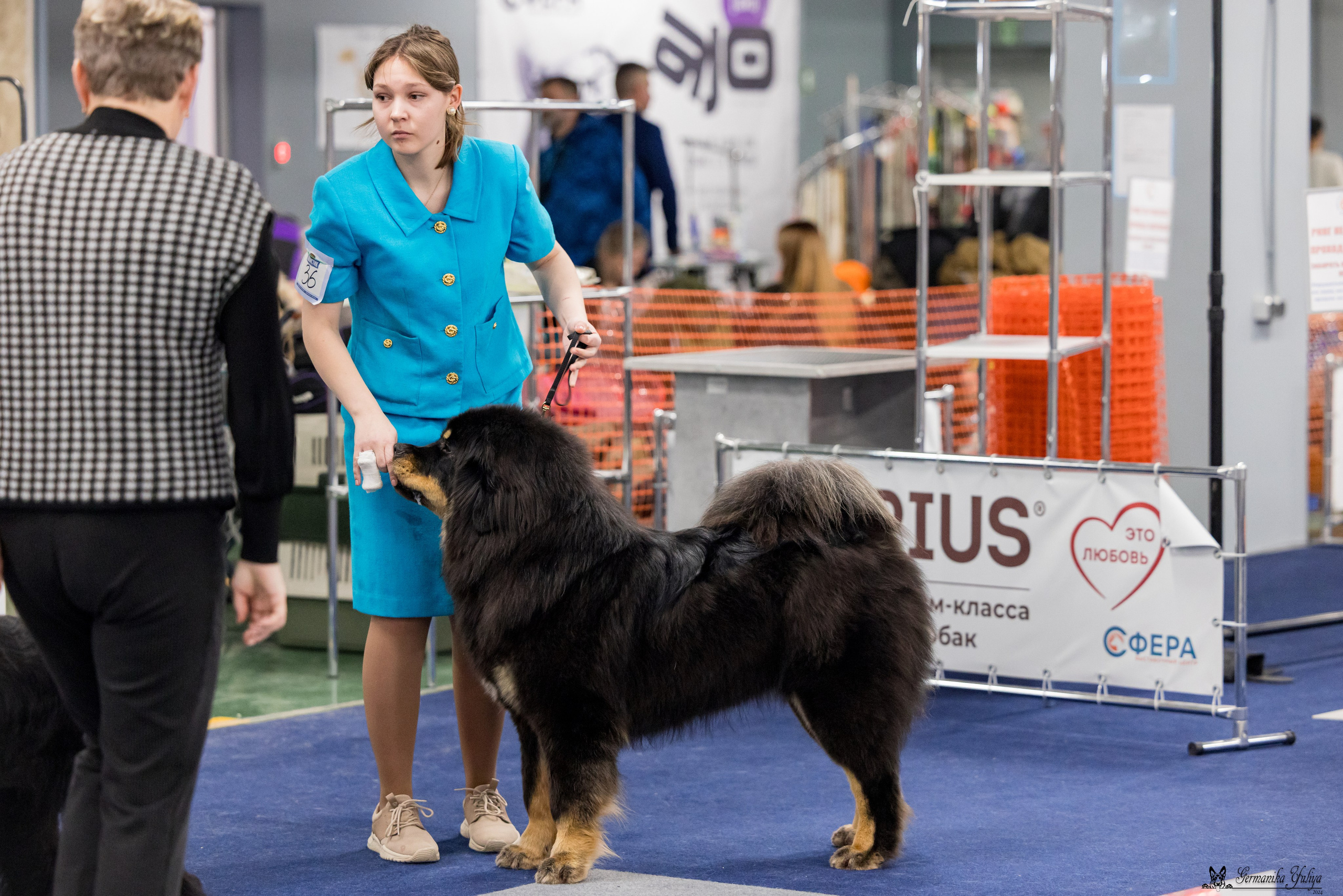 Сфера 28.01. и 4.02.2024. Фотограф-анималист Юлия Германика