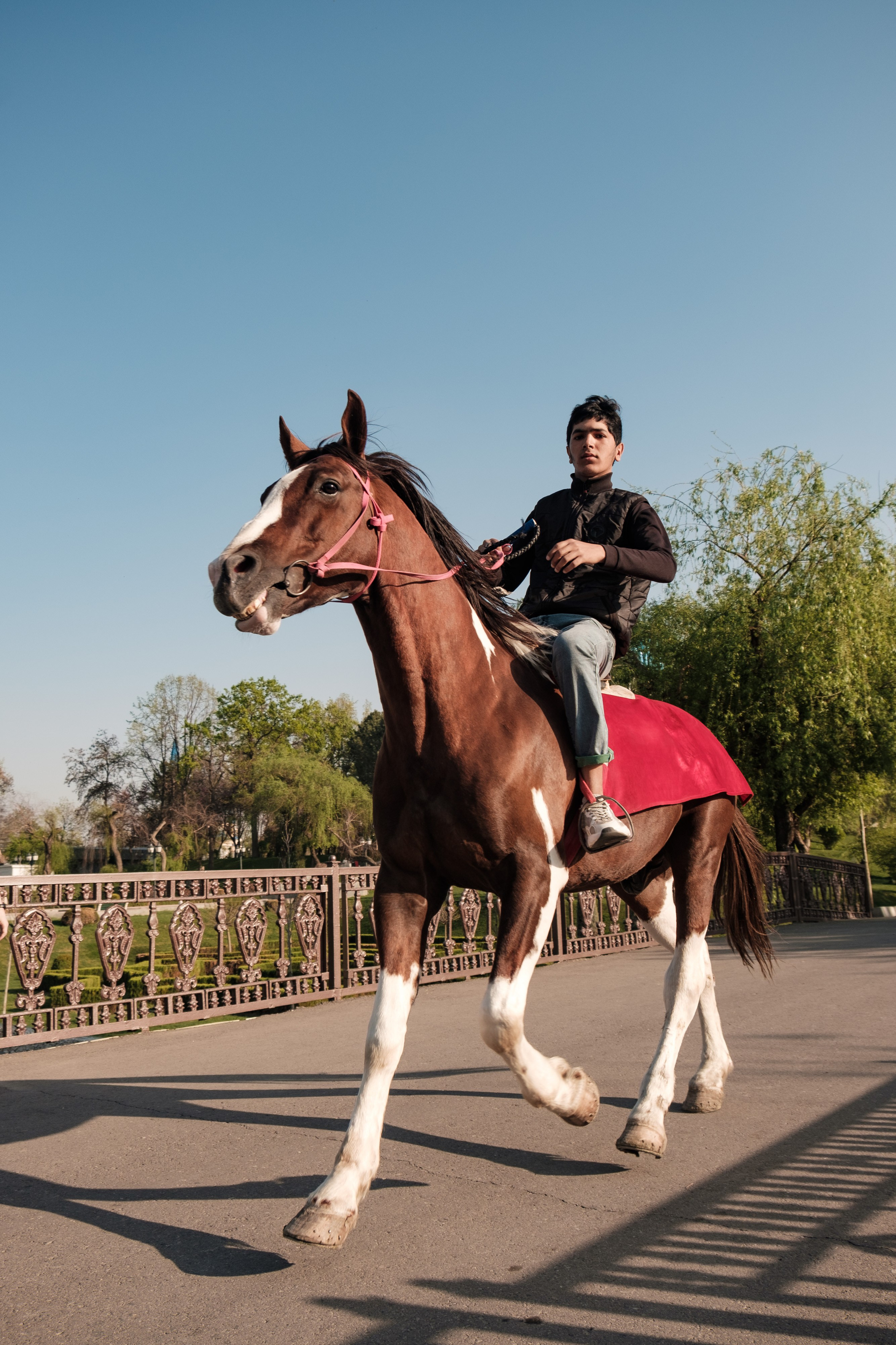 Узбекистан. Города. Фотограф Конопихин Константин