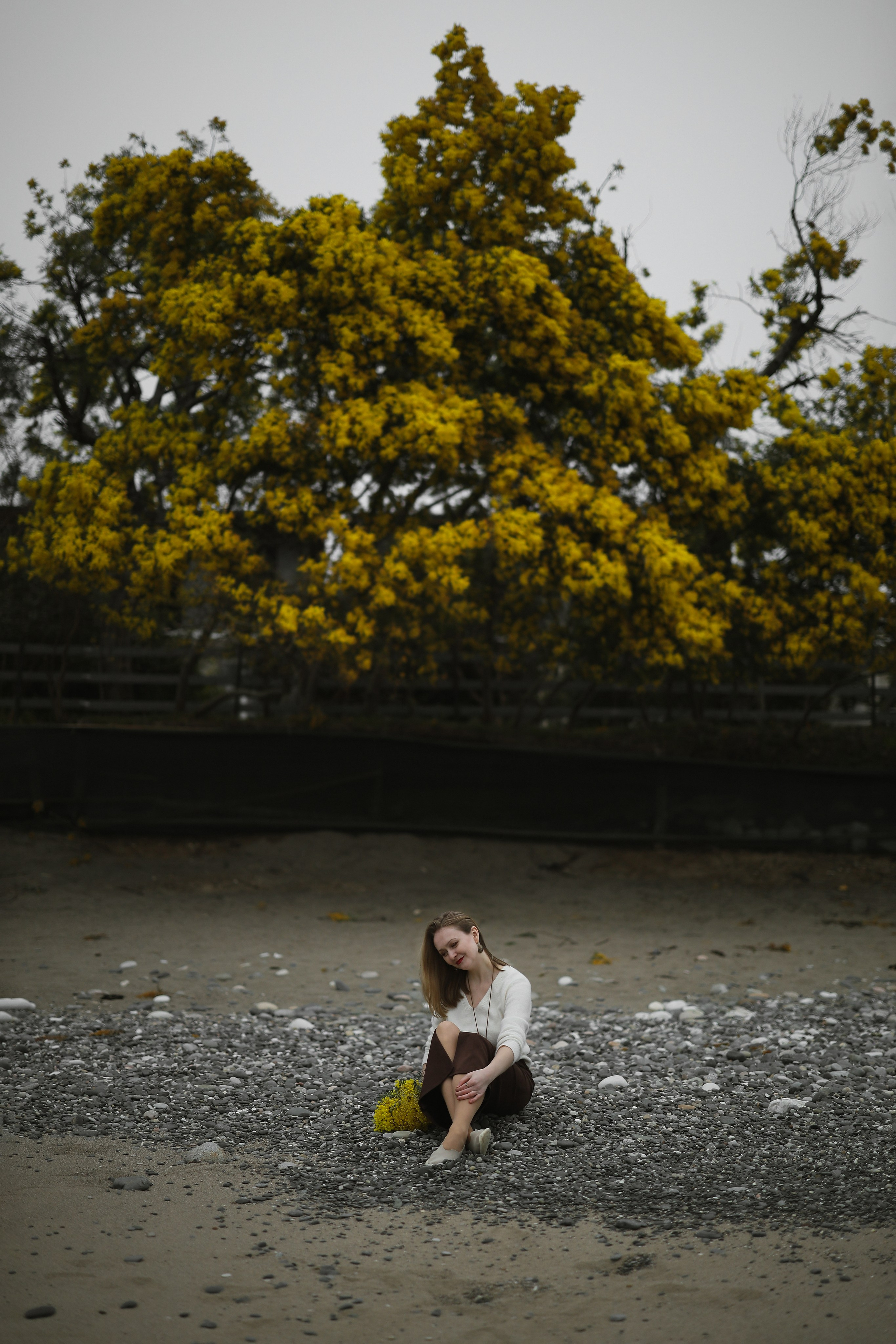 фотосессия с мимозой в Сухуми