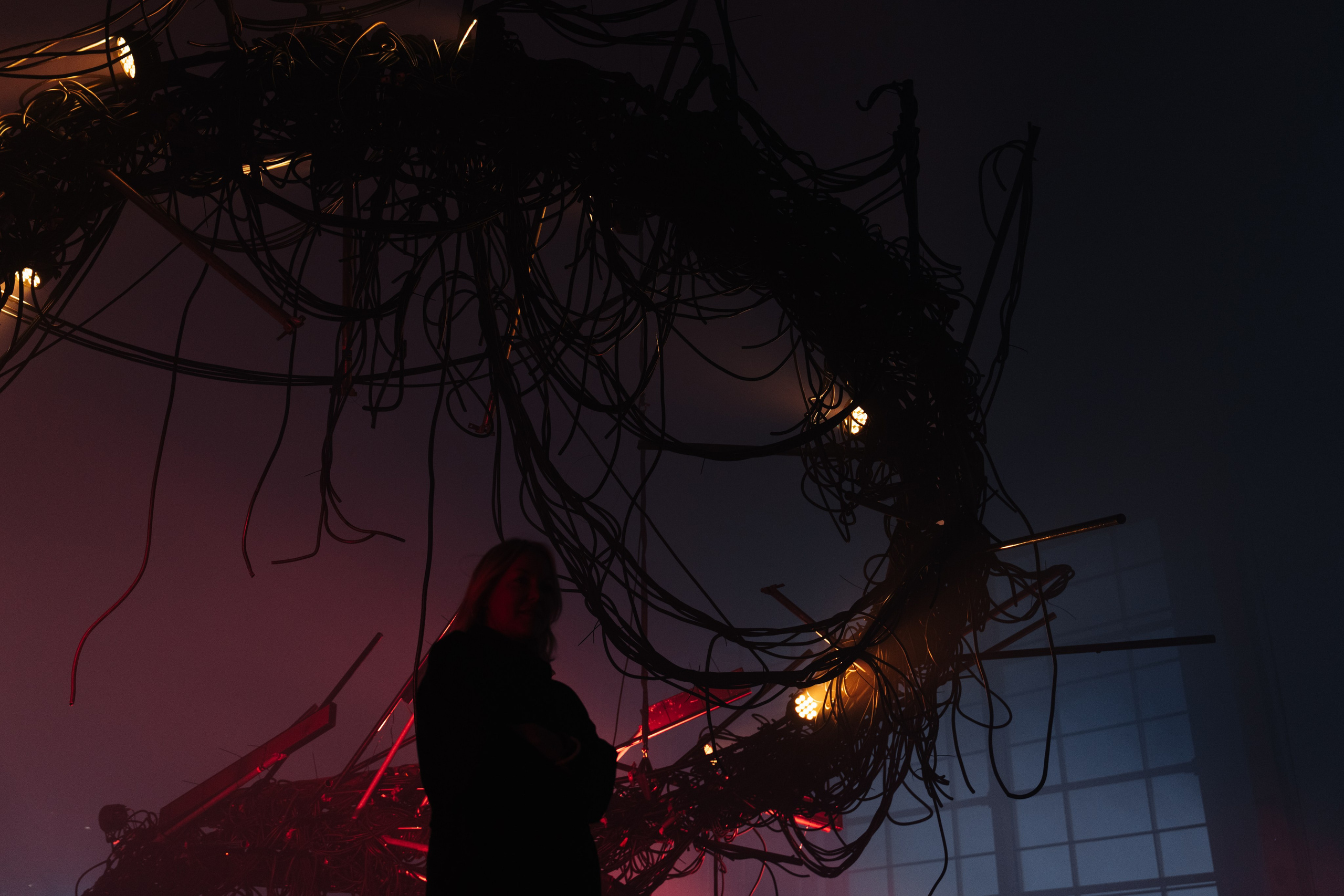 PERFORMA, The Hour of the Horse. @tomrus: Рустам Шагиморданов — фотограф