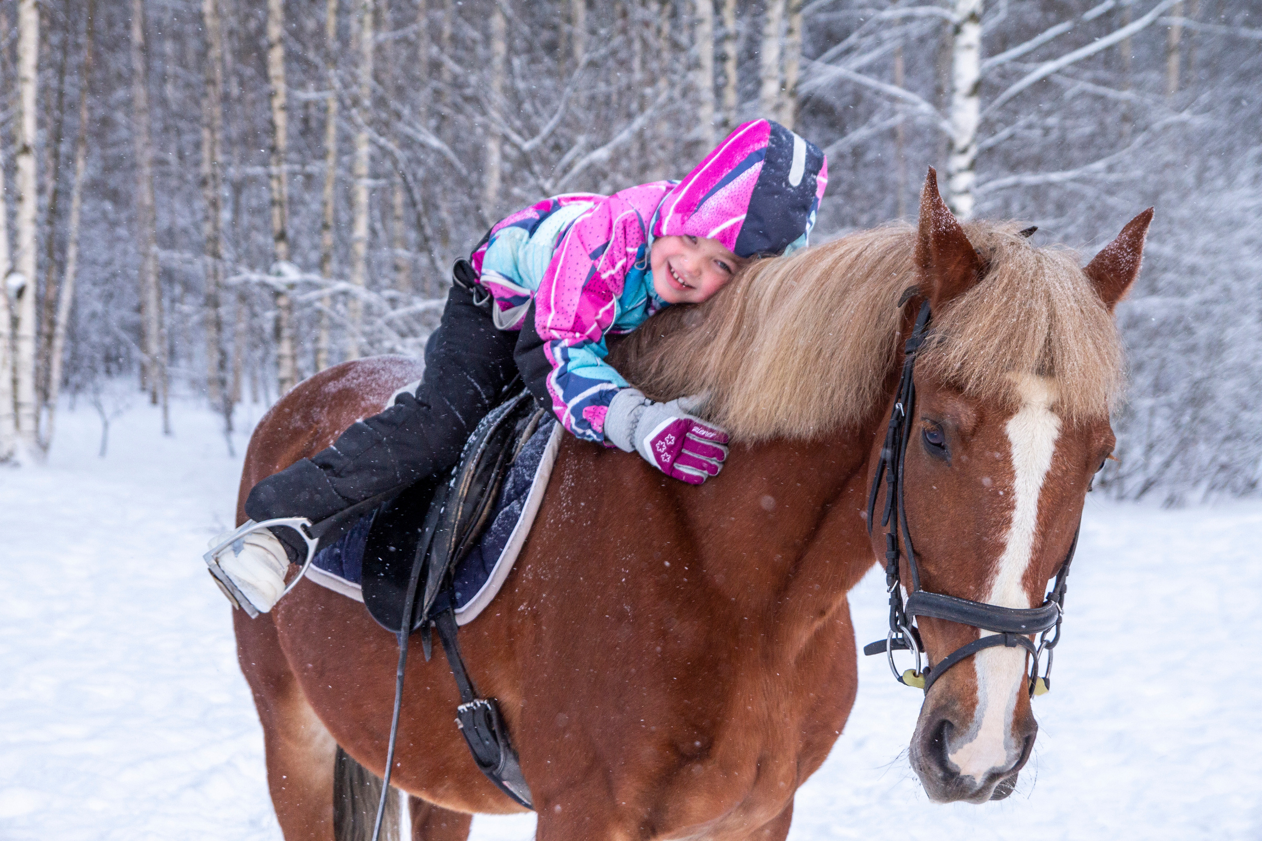 Фотосессии с лошадью. Репортажный, Event фотограф в Санкт-Петербурге и ЛО Морозов Дмитрий