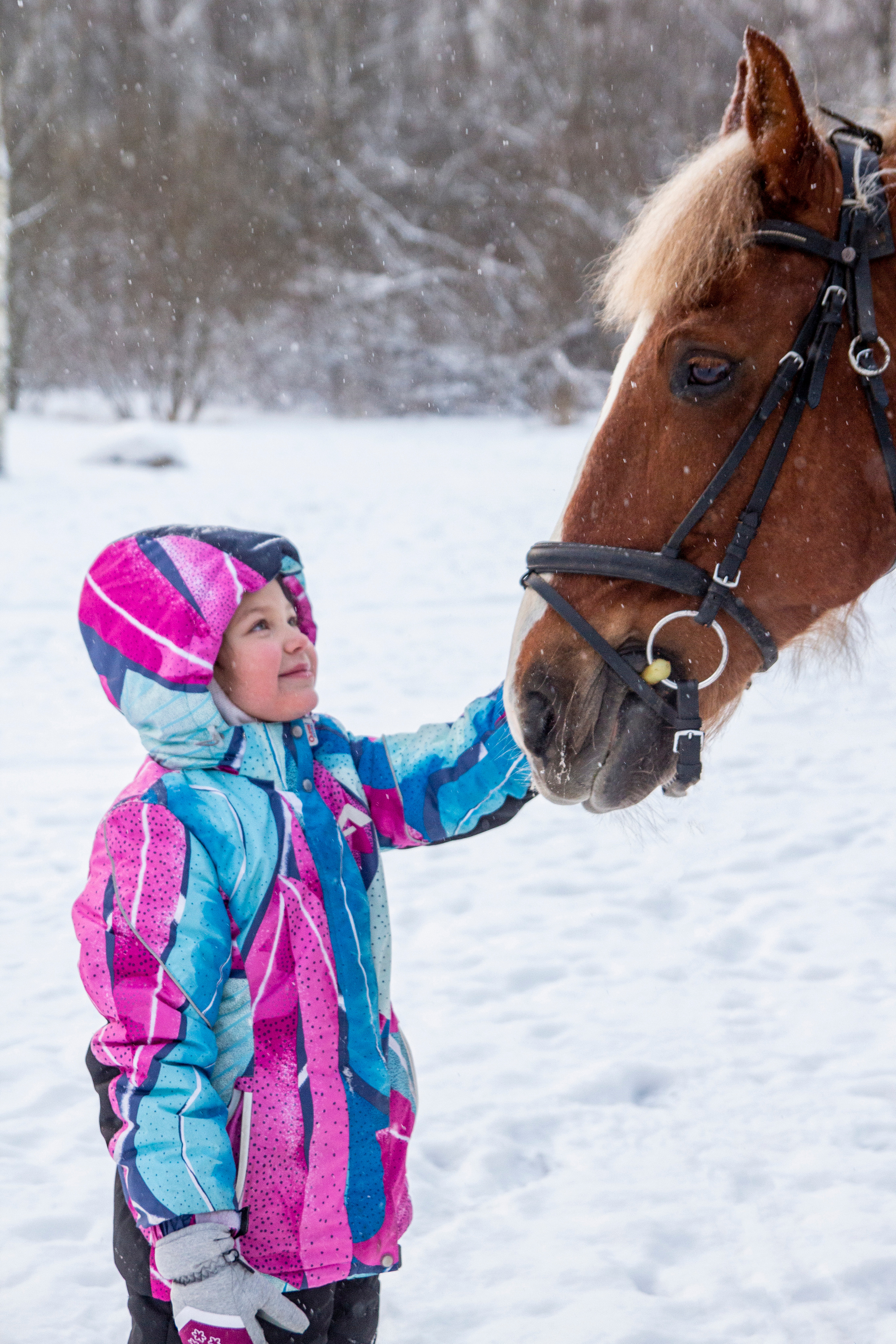Фотосессии с лошадью. Репортажный, Event фотограф в Санкт-Петербурге и ЛО Морозов Дмитрий