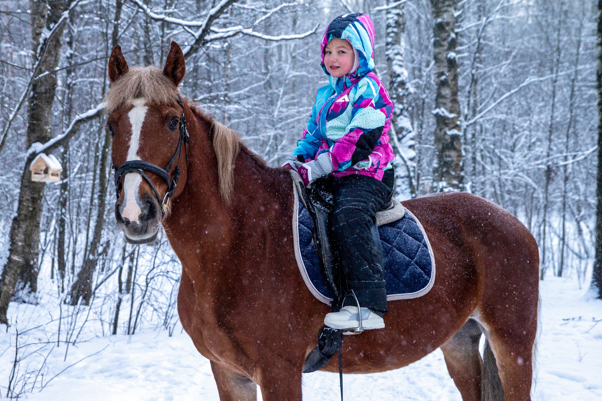 Фотосессии с лошадью. Репортажный, Event фотограф в Санкт-Петербурге и ЛО Морозов Дмитрий