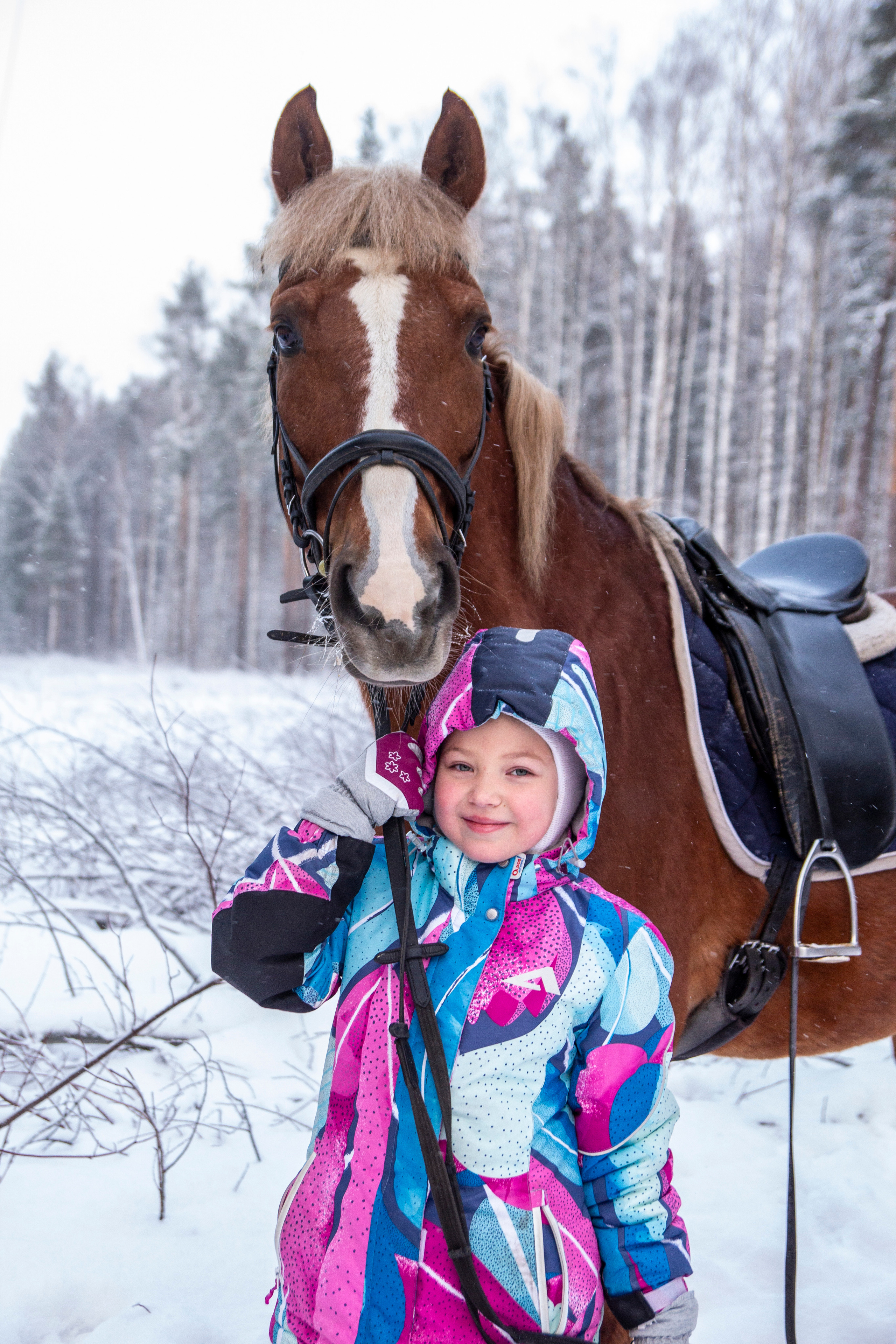 Фотосессии с лошадью. Репортажный, Event фотограф в Санкт-Петербурге и ЛО Морозов Дмитрий