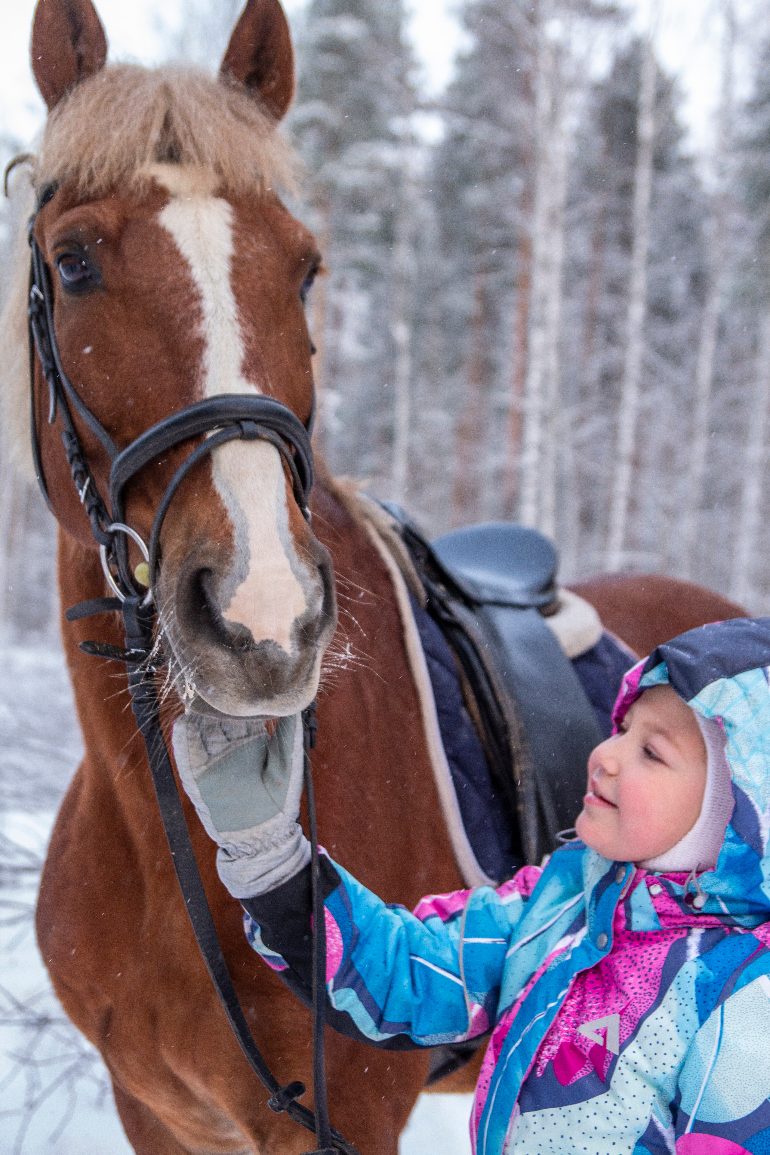 Фотосессии с лошадью. Репортажный, Event фотограф в Санкт-Петербурге и ЛО Морозов Дмитрий