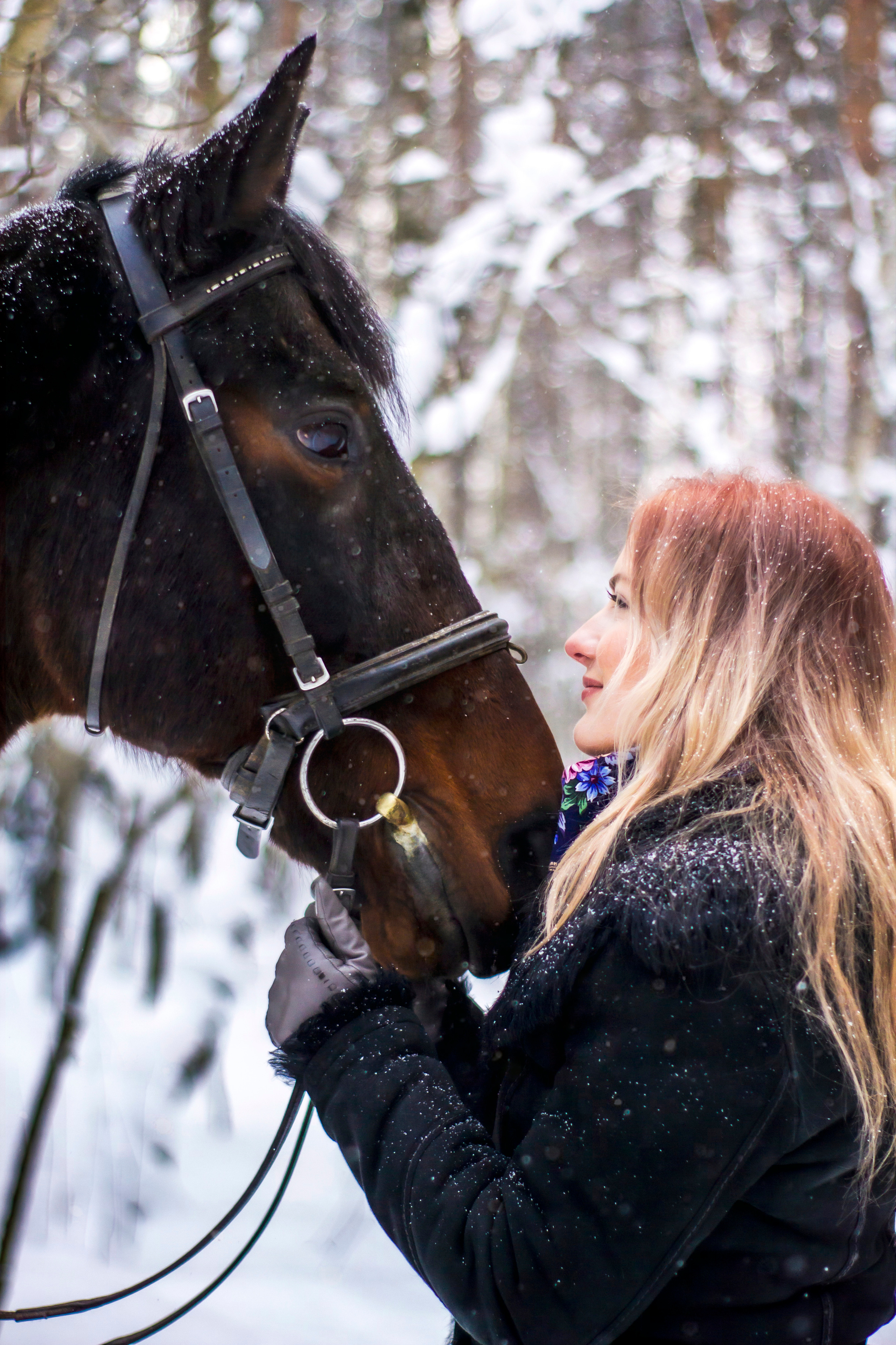 Фотосессии на лошадях,почему они стоят дороже, чем обычные фотосессии?. Репортажный, Event фотограф в Санкт-Петербурге и ЛО Морозов Дмитрий