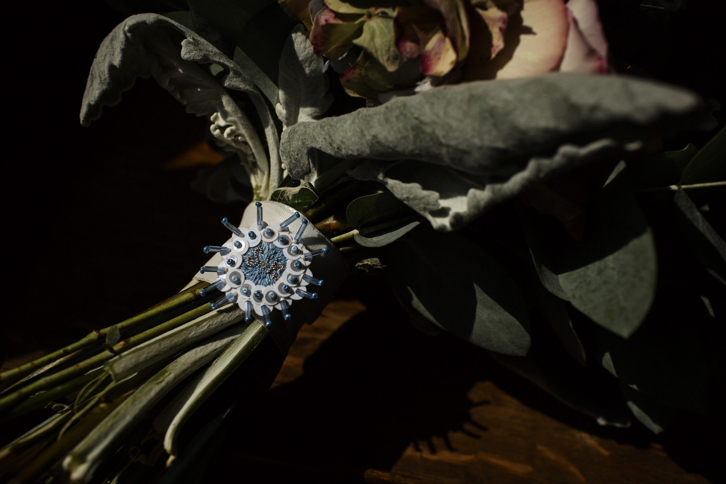 Paris, France. Anna Atayan Photographer