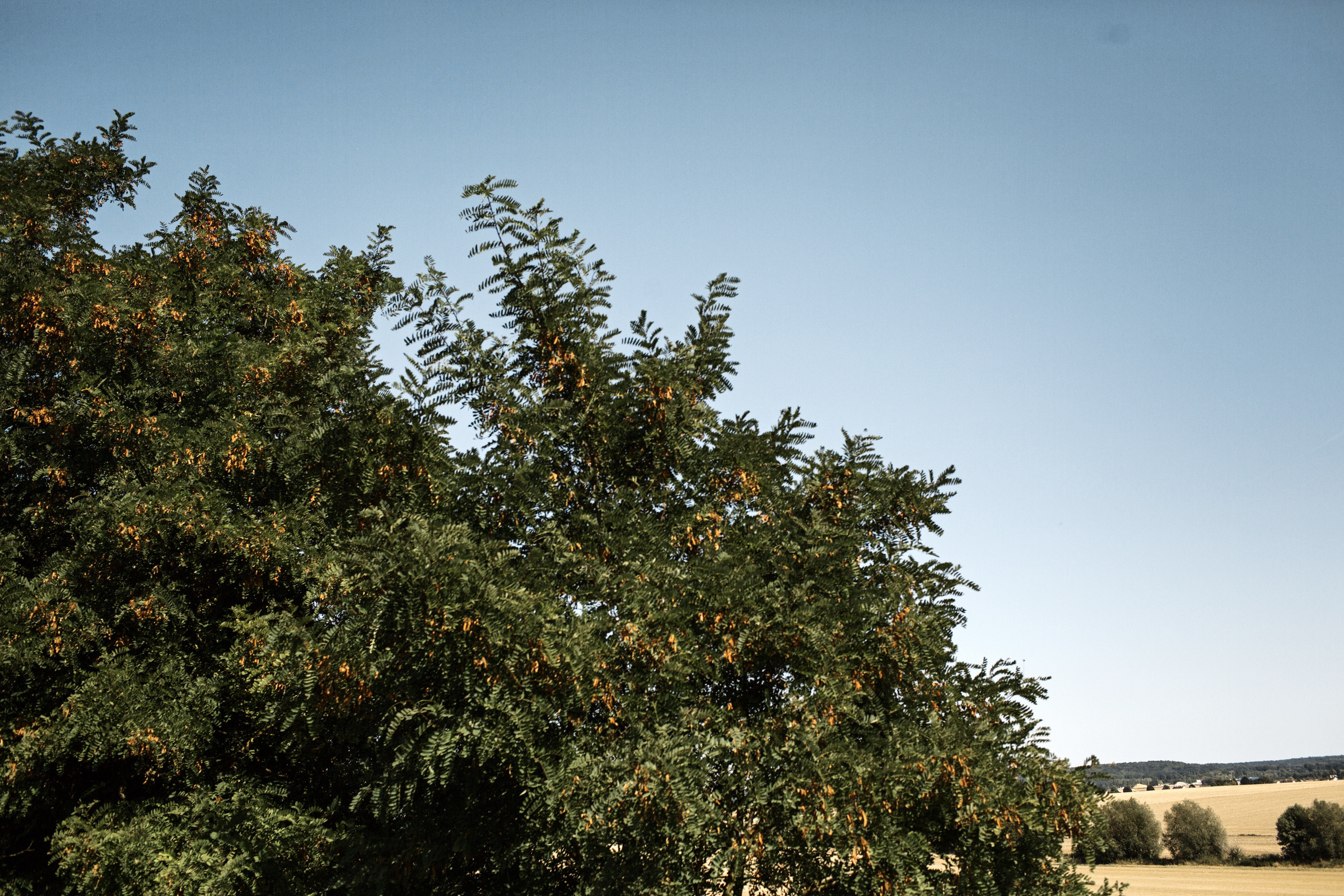 Paris, France. Anna Atayan Photographer