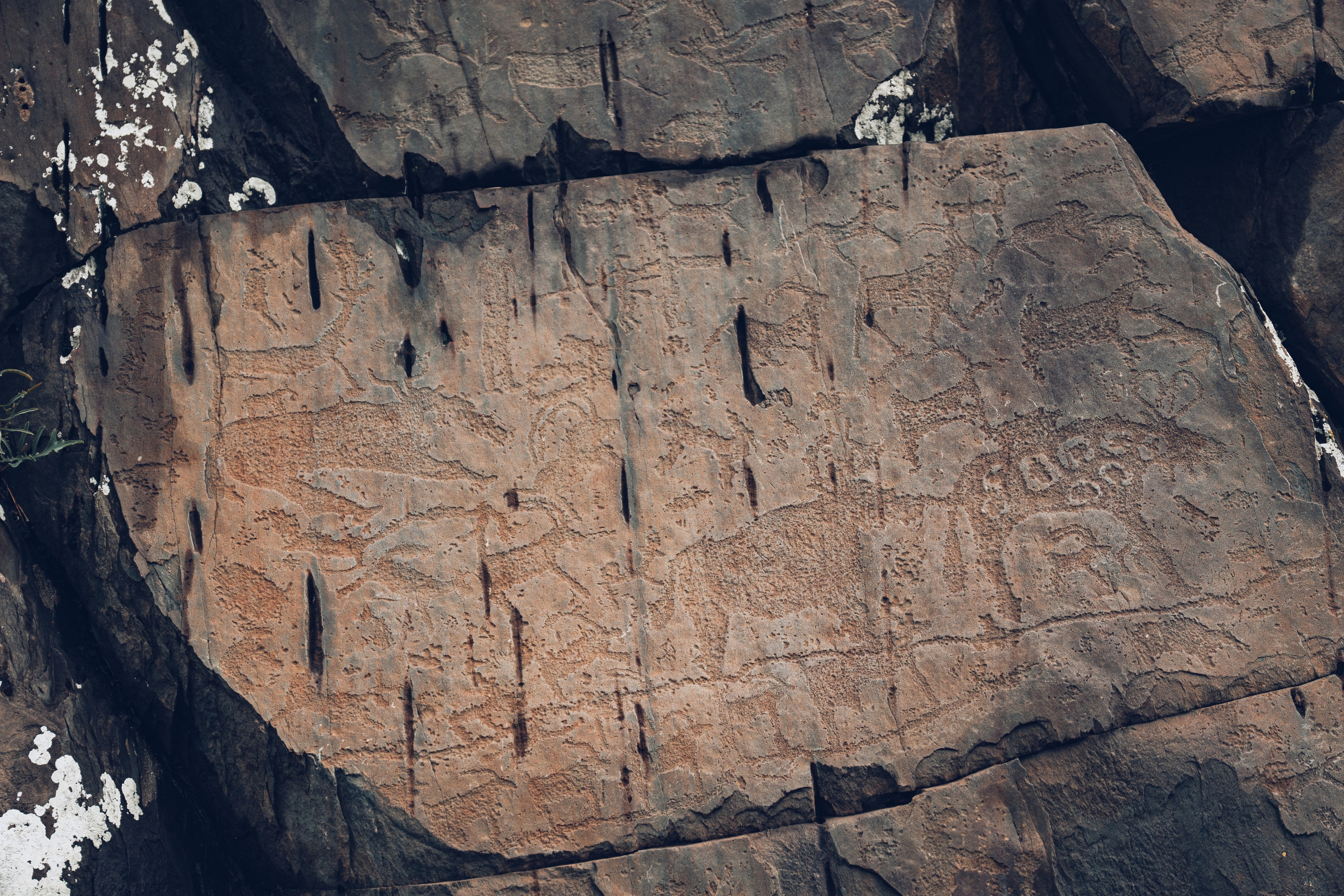 Алтай. Gusarov Travel Photography