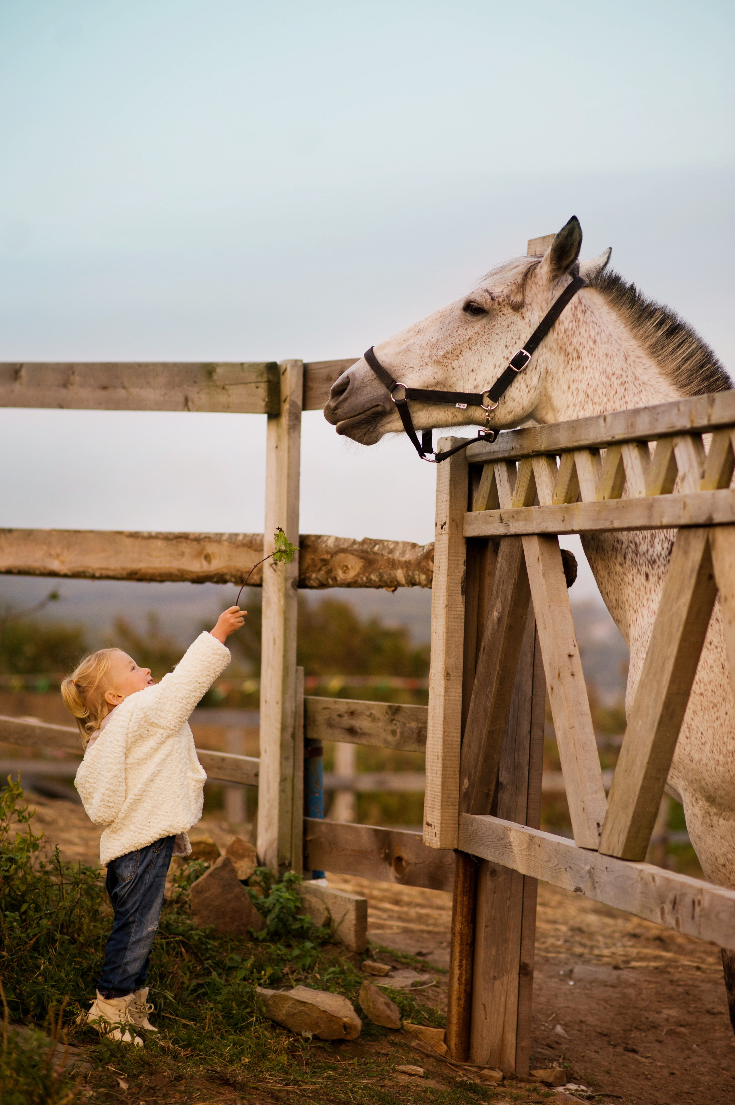 МАЛЫШИ. Фотограф Вера Демидкова