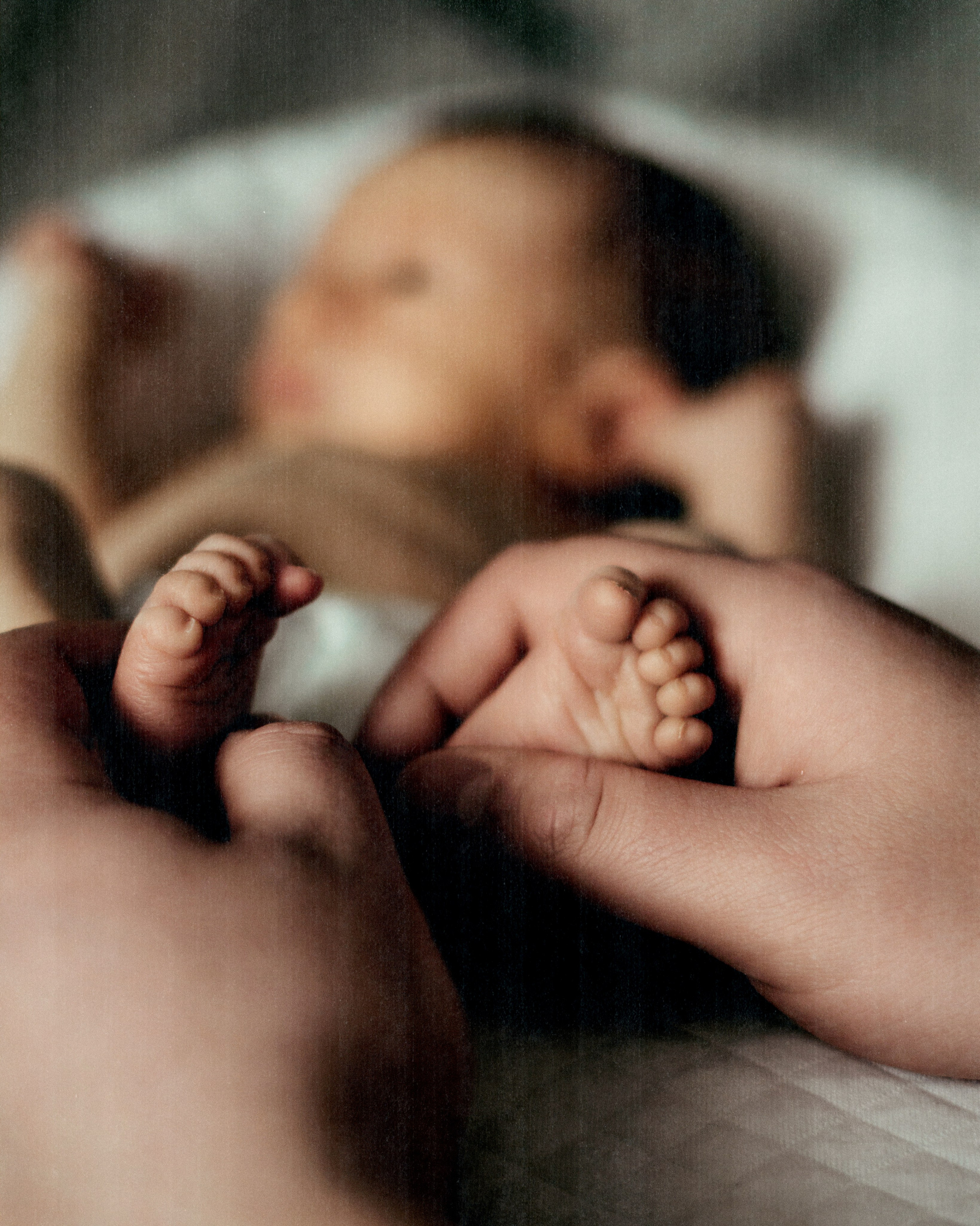 Gosha. SHILOVA PHOTO. Шилова Екатерина. Фотограф. Москва