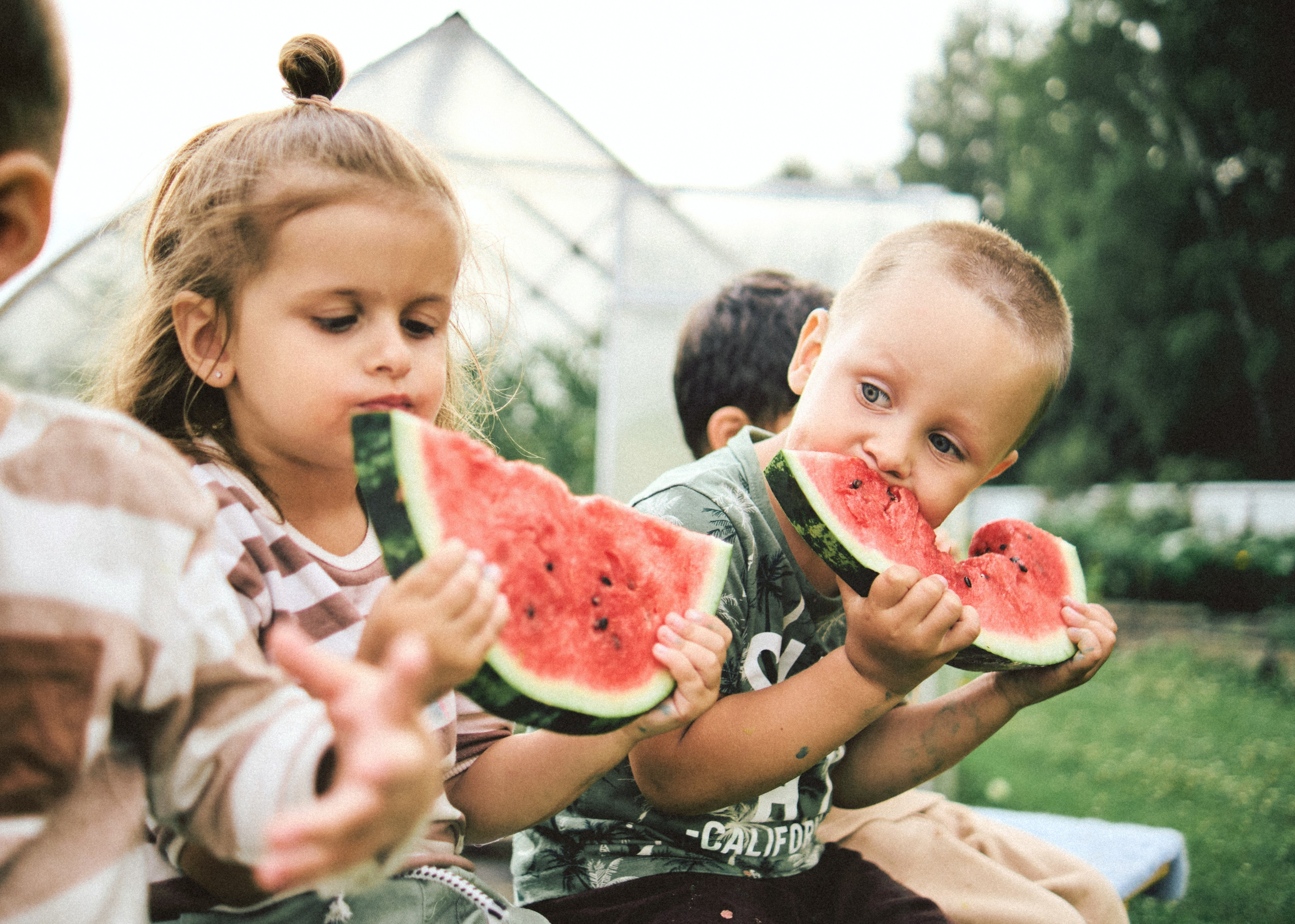 Банда. SHILOVA PHOTO. Шилова Екатерина. Фотограф. Москва