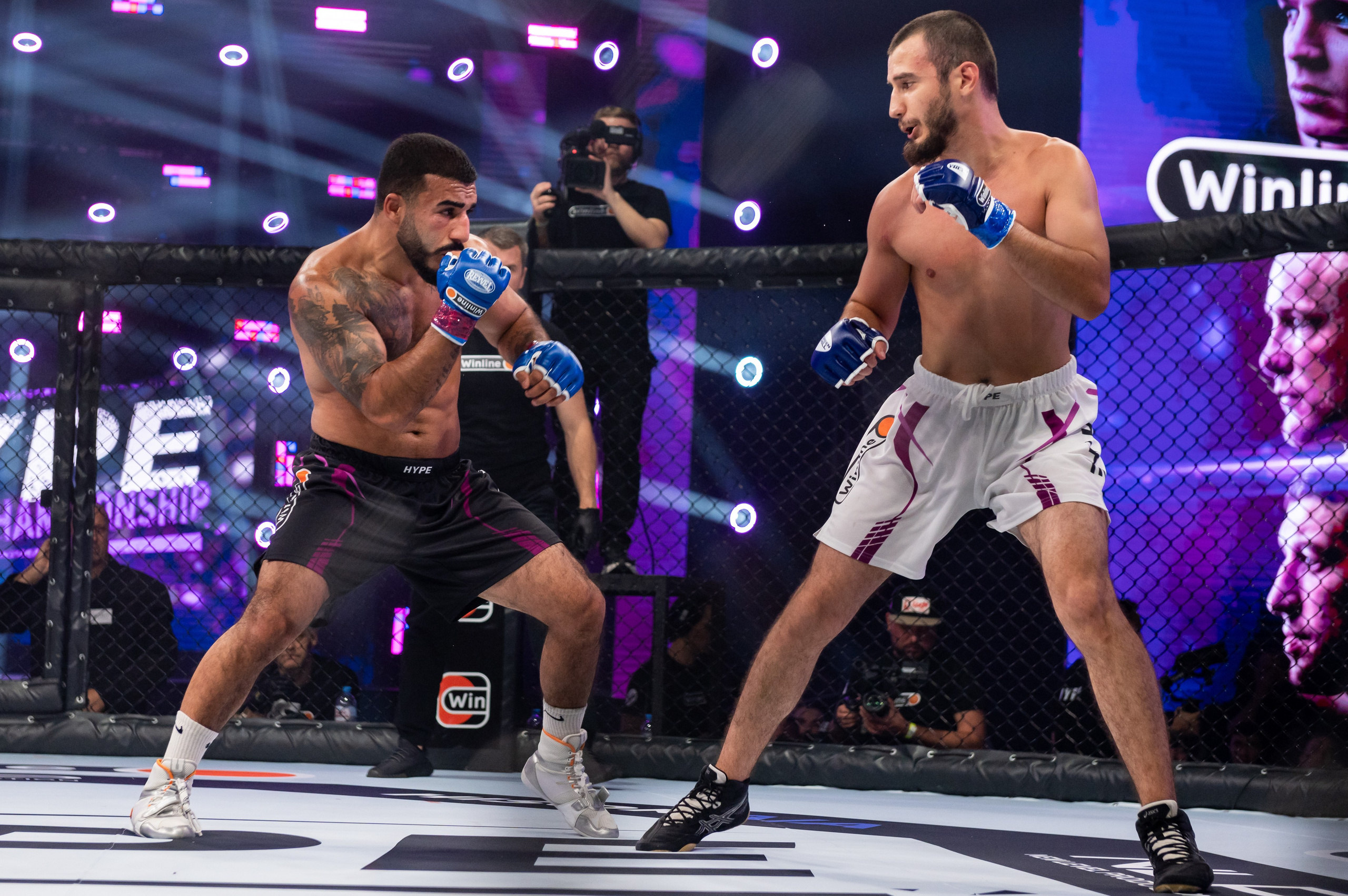 Бои. Репортажный фотограф в Красной Поляне и Сочи Павлюченко Екатерина