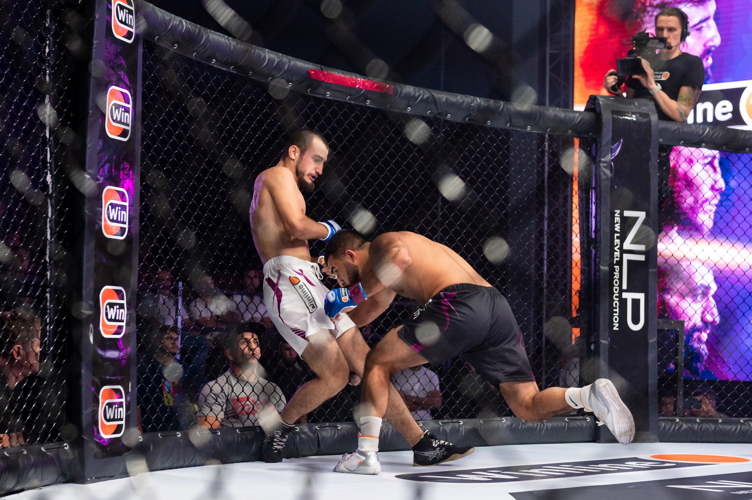 Бои. Репортажный фотограф в Красной Поляне и Сочи Павлюченко Екатерина