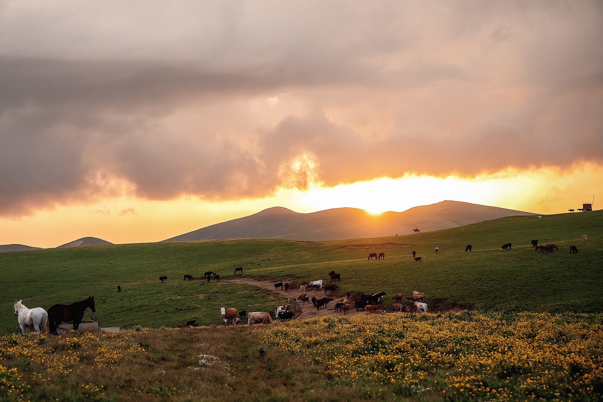 Плато Бийчесын. BrisArts