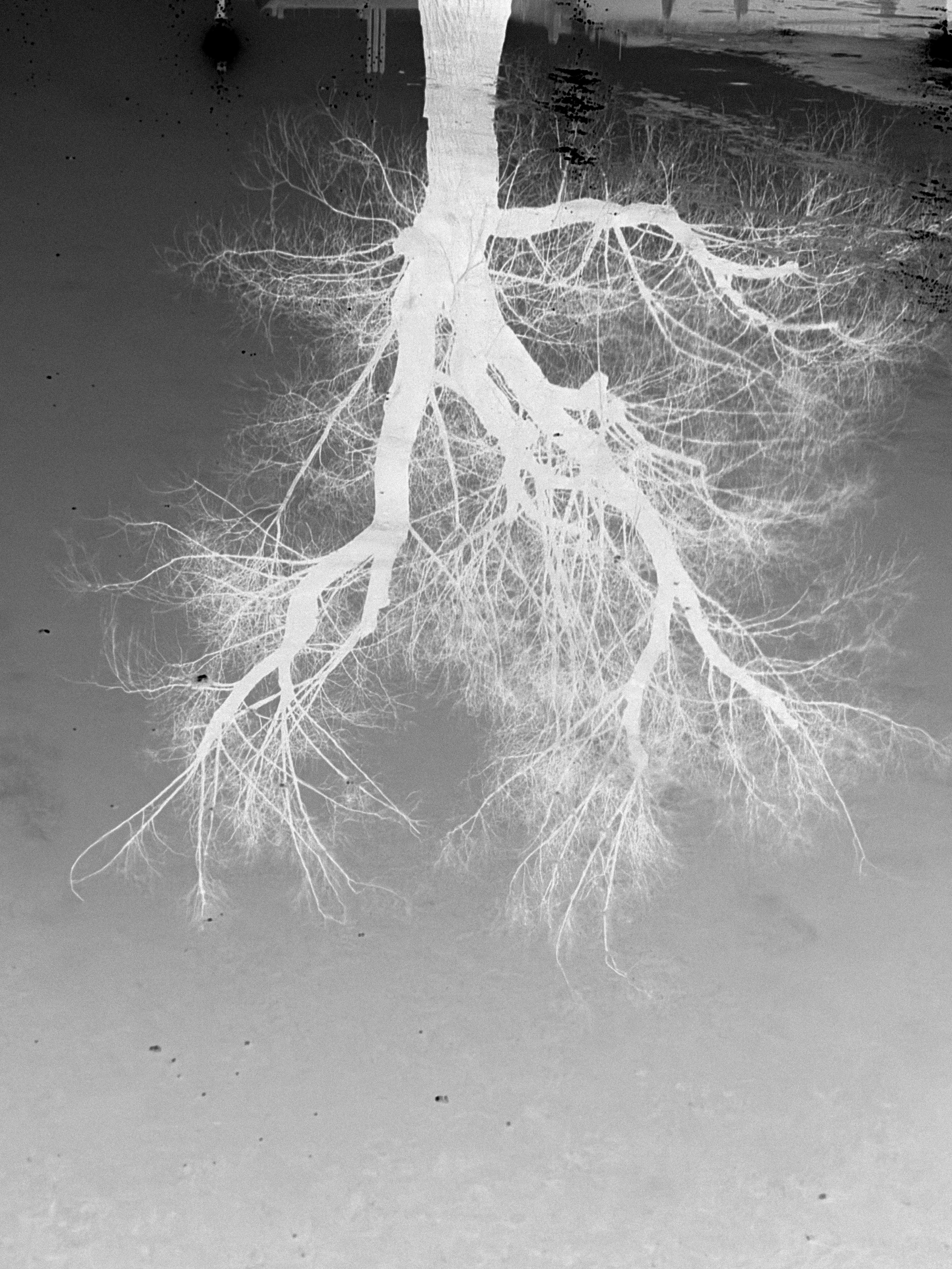 'INVERTED CITY'. Nik Paustovskiy photography