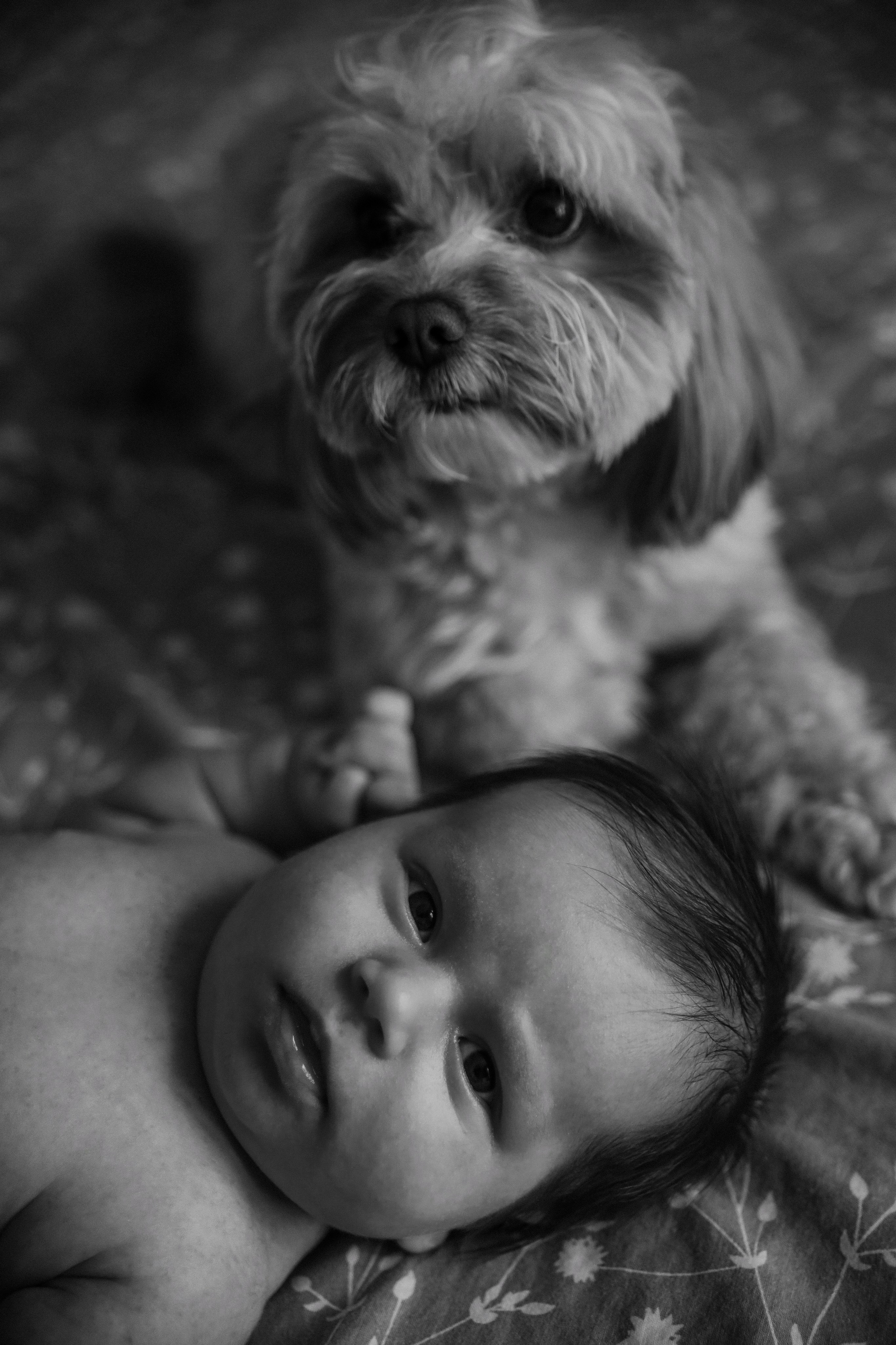 Домашний life-style. Фотограф в Серпухове и Тарусе Ксения Царёва