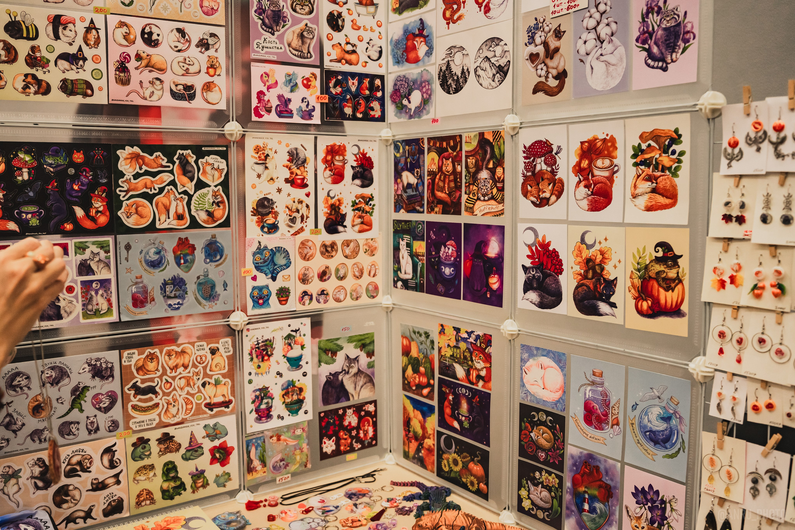 Fox Family fest. Репортажный фотограф Анастасия Рубцова