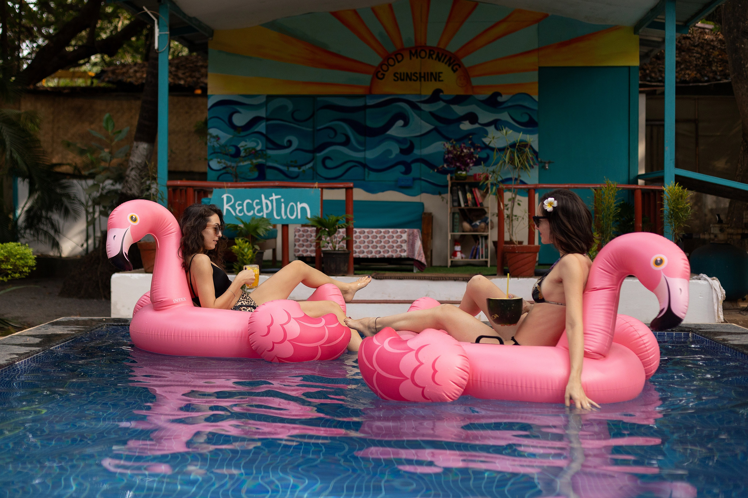 Mango tree resort. Свадебные видео