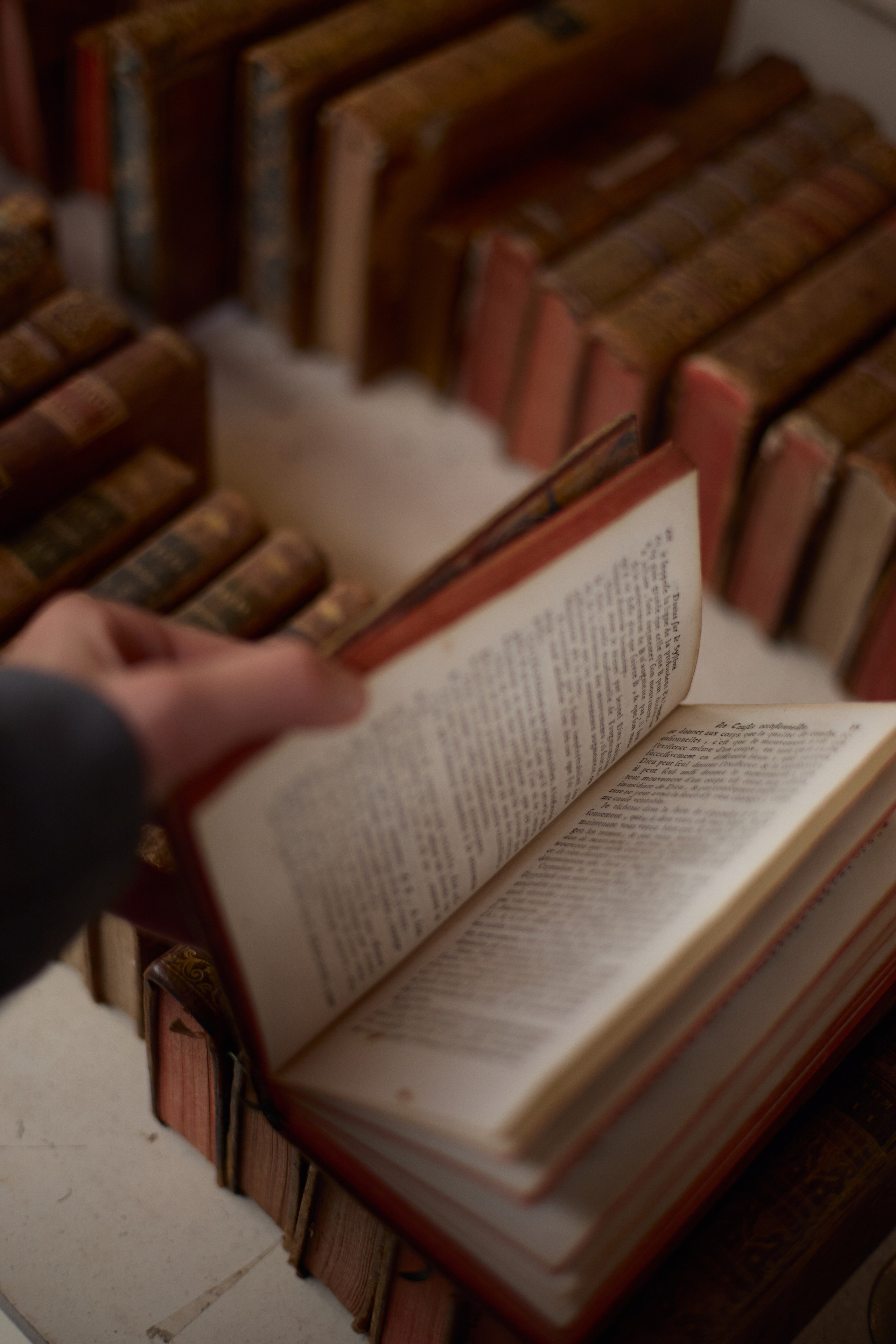 France (Provence & Paris) Sep'25. Анастасия Зобнинá — фотограф в Санкт-Петербурге/СПб