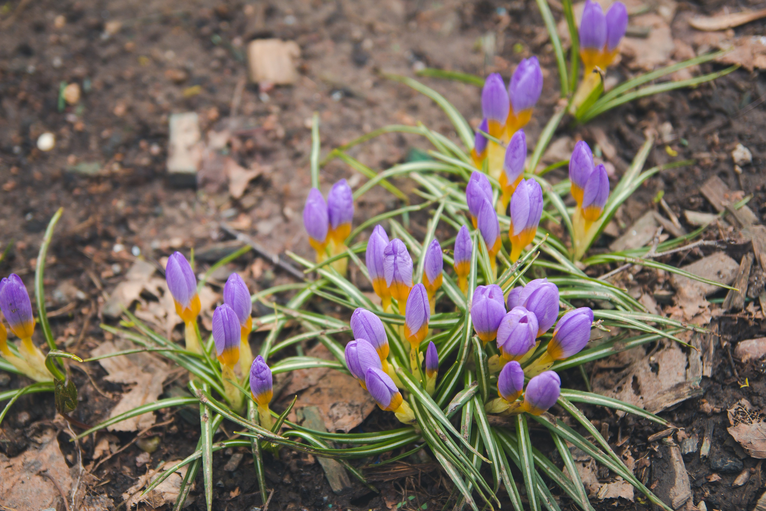 С Сашей на Хохловке. Фотограф Мария Згонник