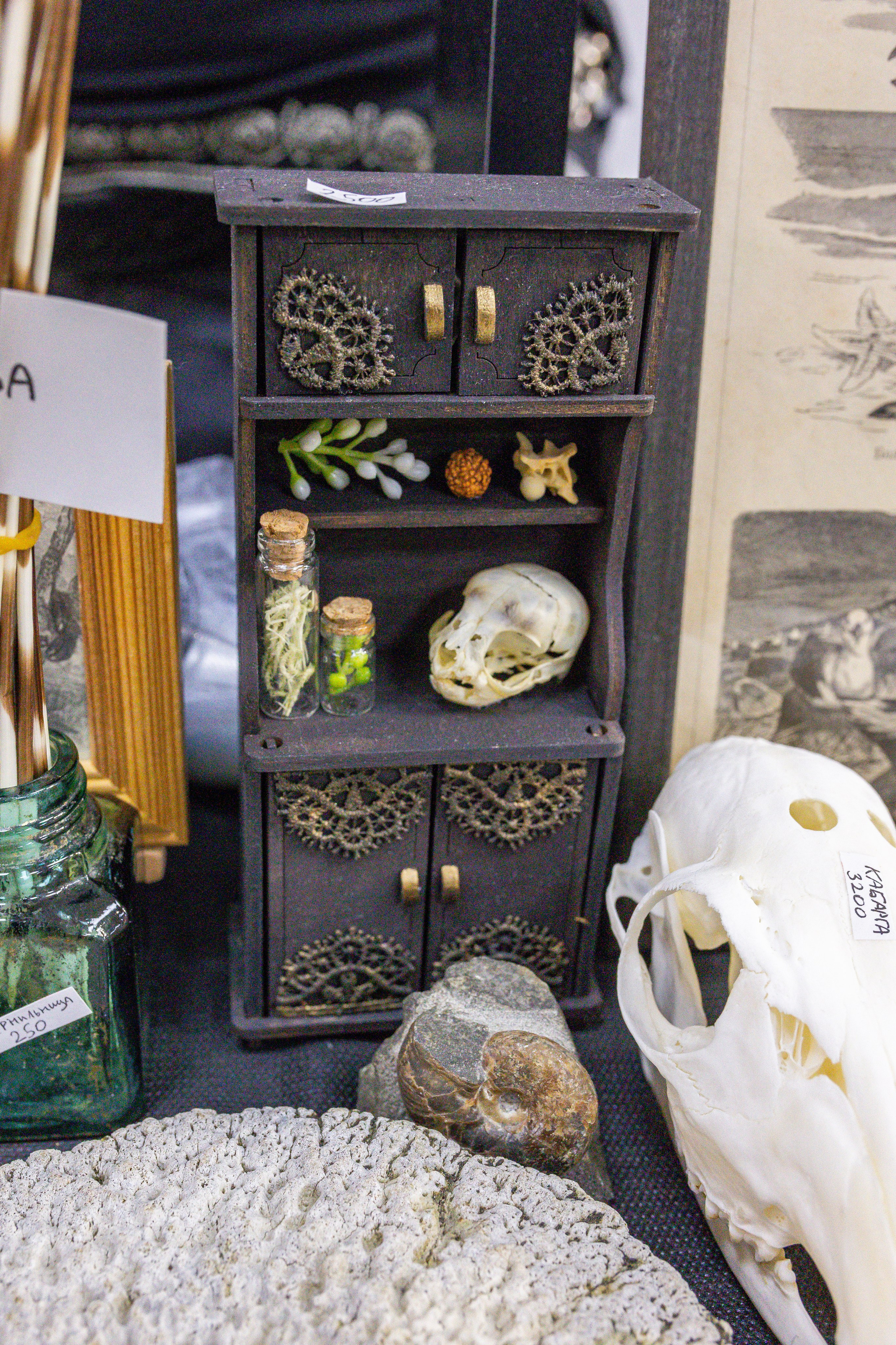 Монстериум апрель 2025. Александра Куликова фотограф, Москва