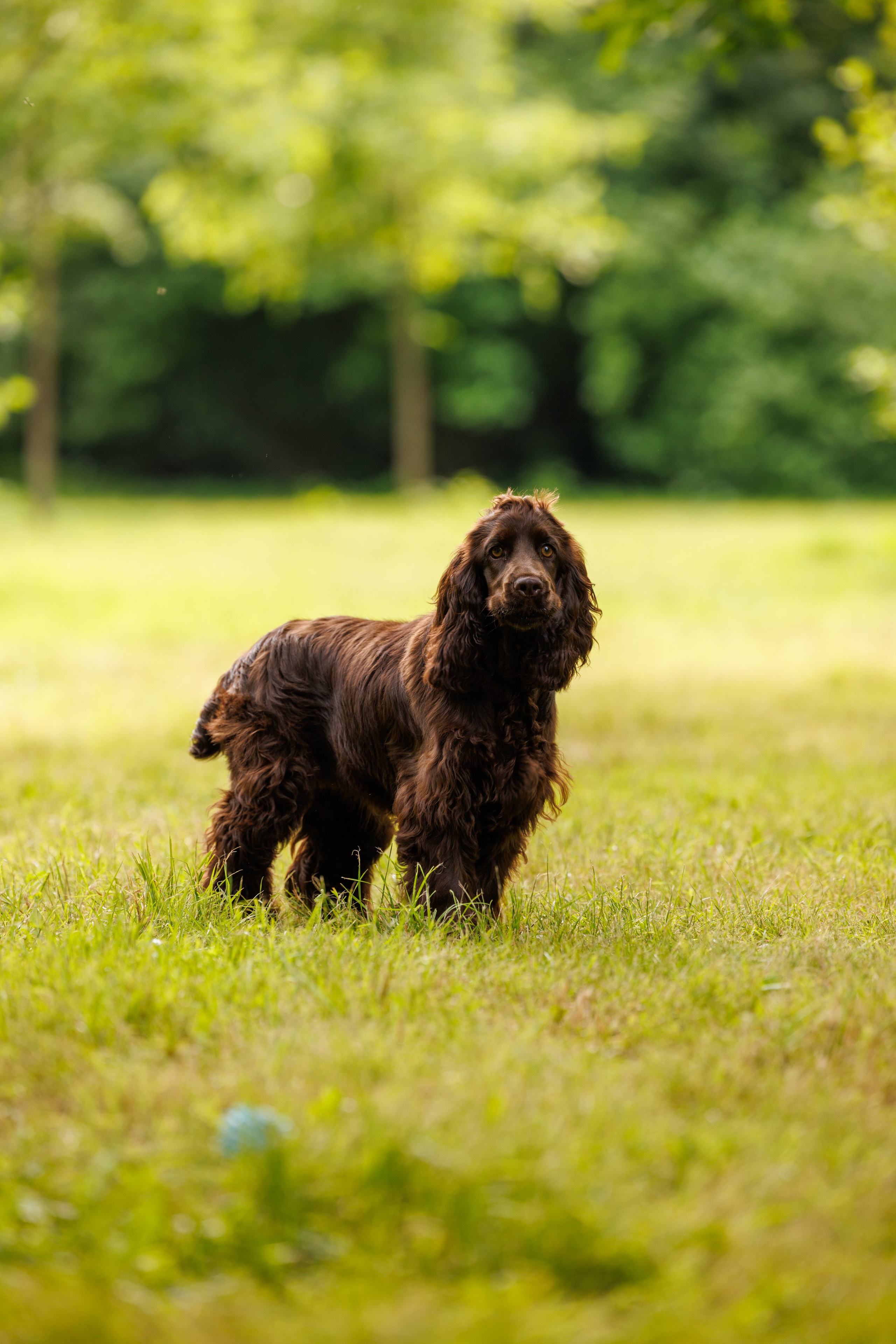 PetShopDays2026. Фотограф Александр Заломаев